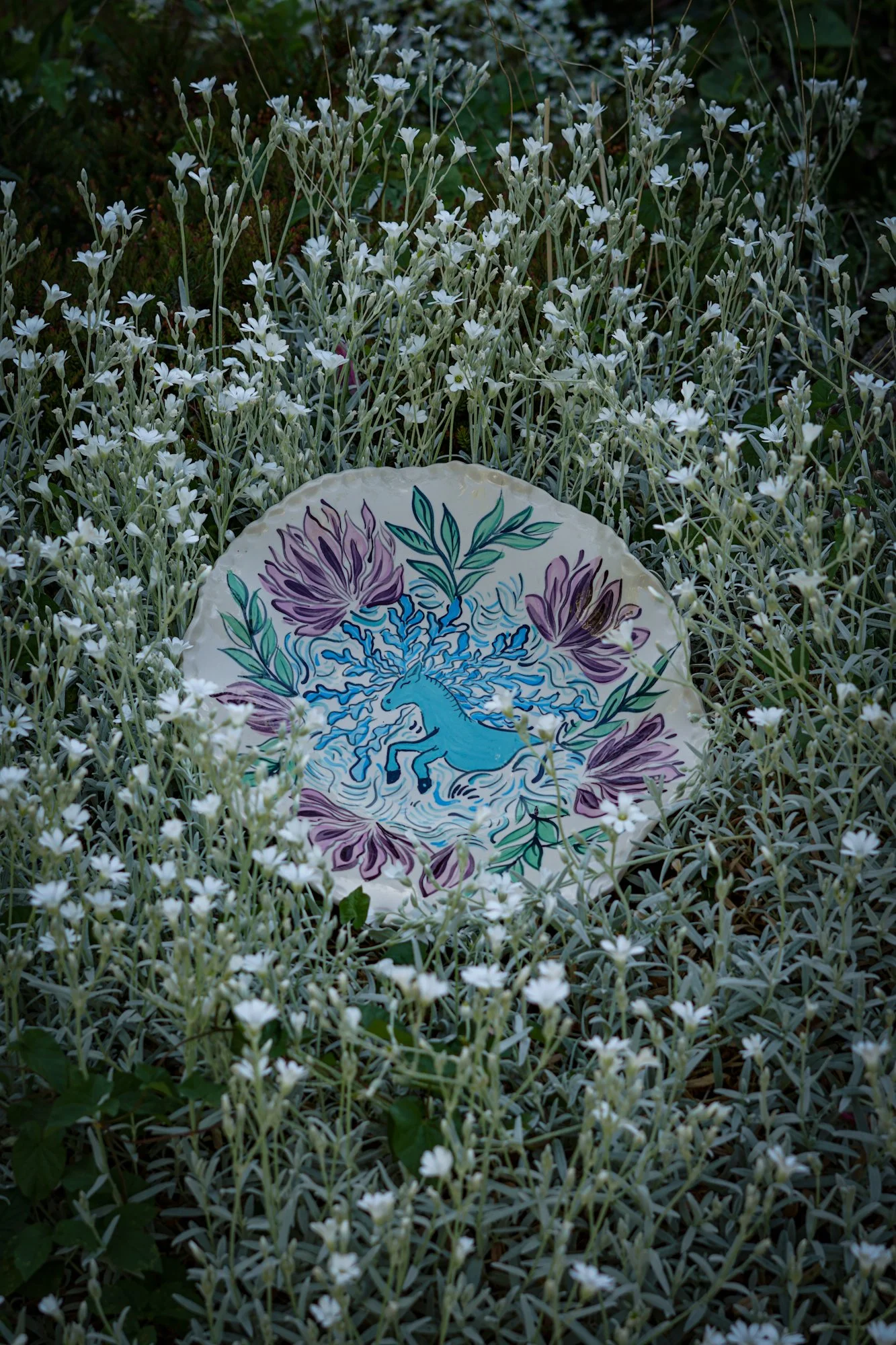 dish-kelpie-6.JPG