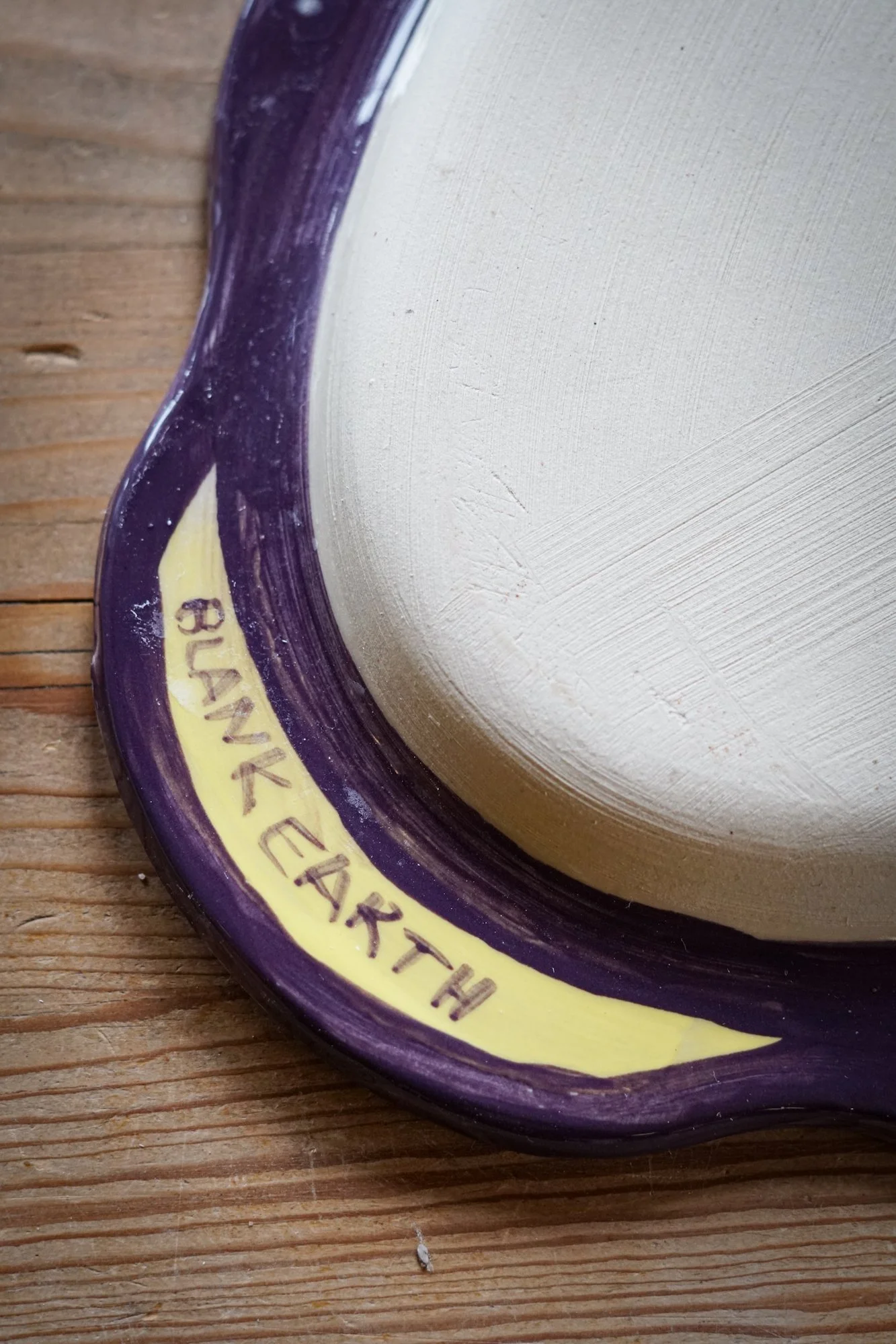 platter-iris-11.JPG