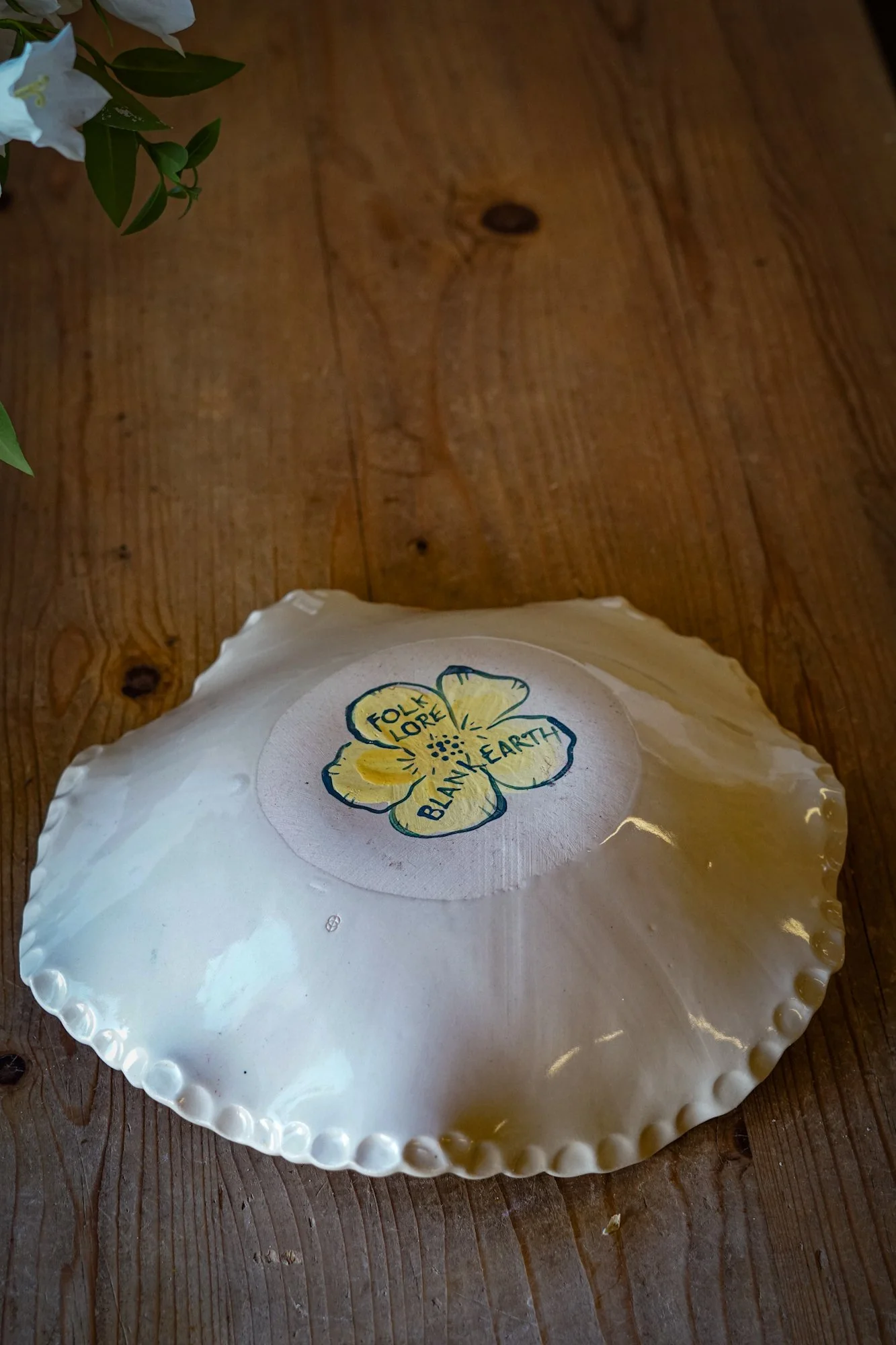 dish-frog-6.JPG