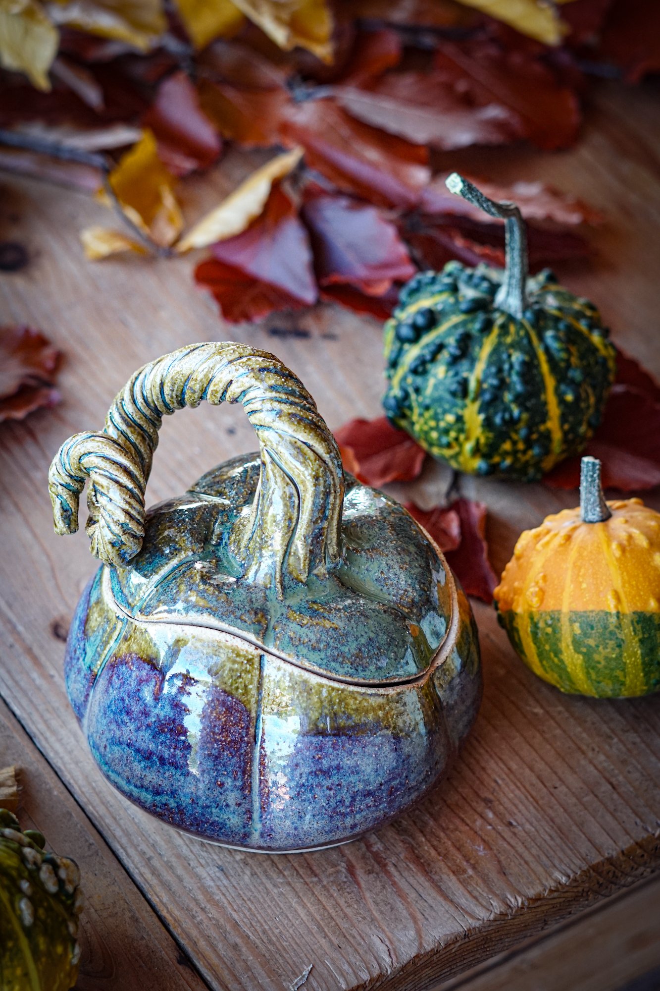 BlankEarth-pumpkin-jar-seaweed-7.JPG