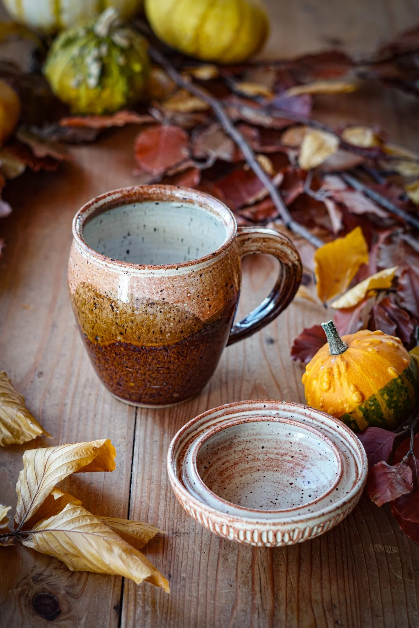 BlankEarth-Mug-acorn-b-5.JPG
