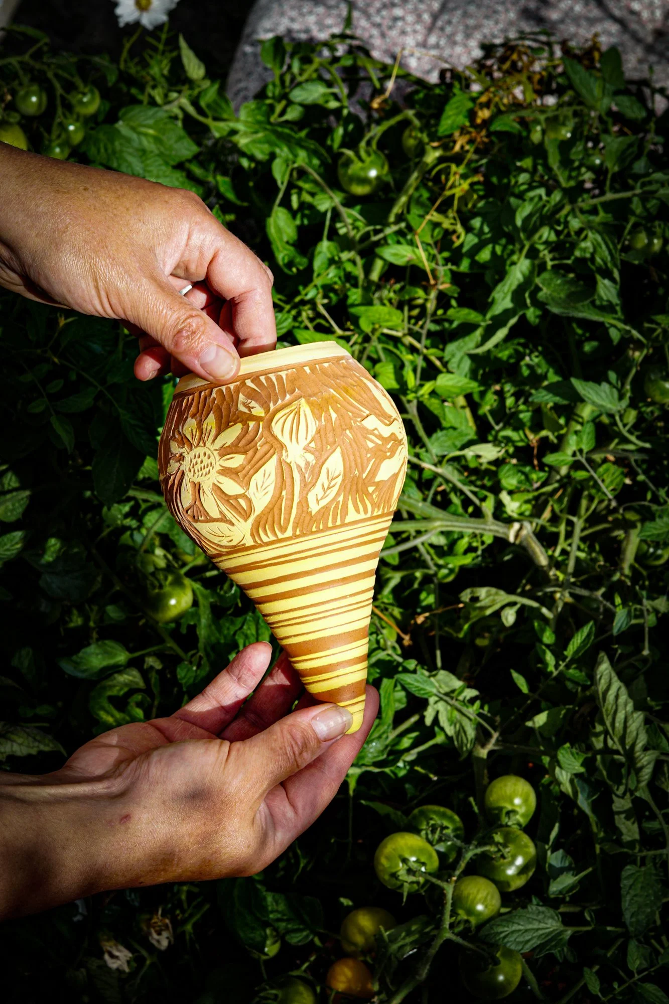 BlankEarth-waterer-sunflower-2.JPG