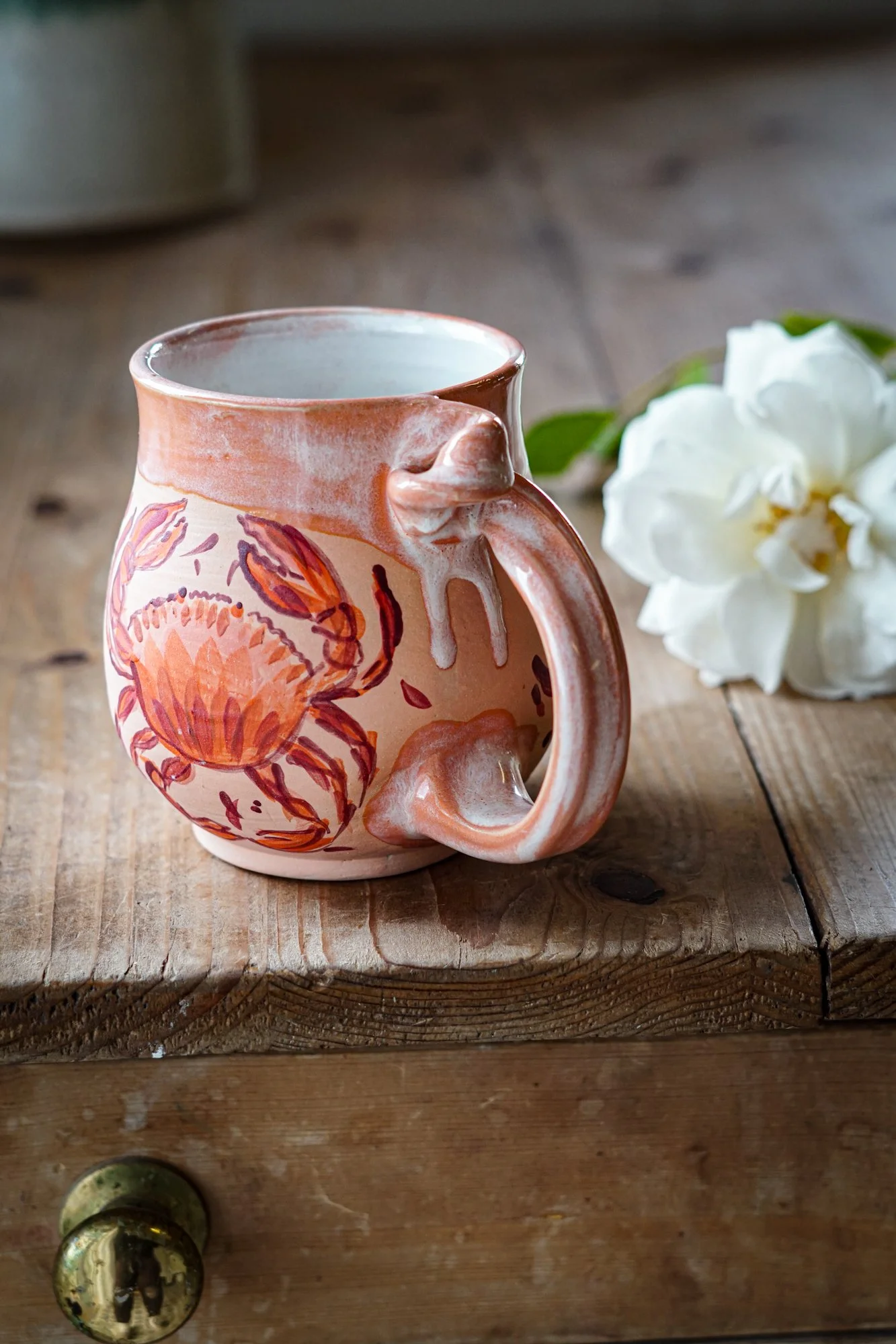 mug-crab-7.JPG