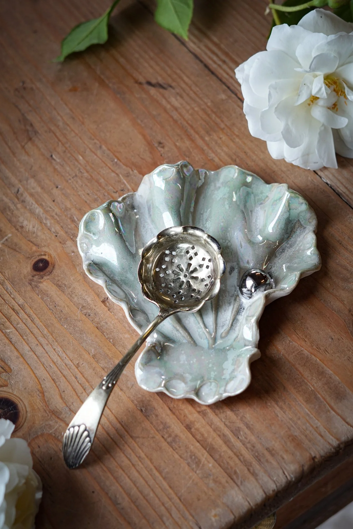 Iridescent Shell Spoon Rest