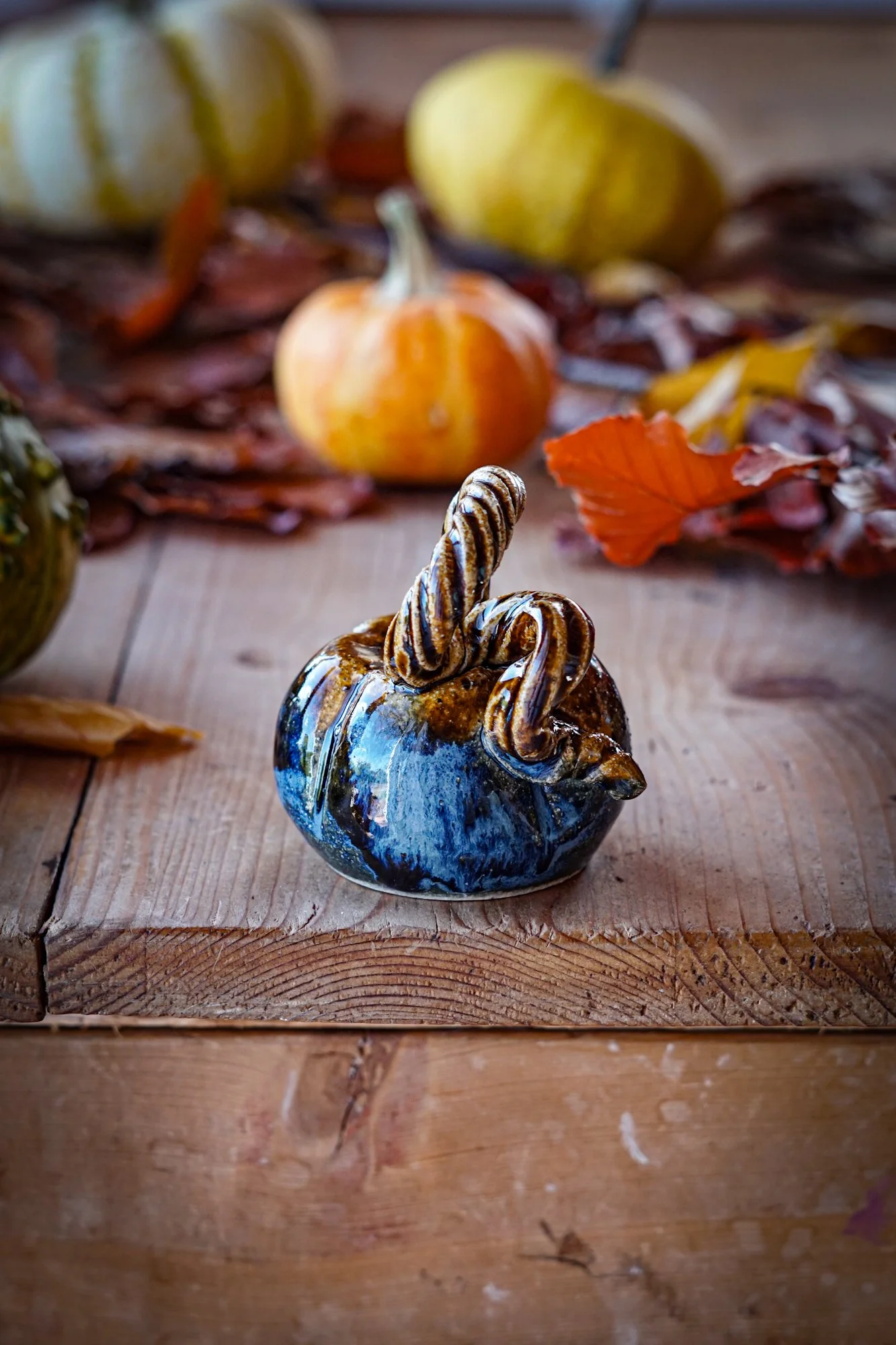 BlankEarth-pumpkin-mini-blue-3.JPG