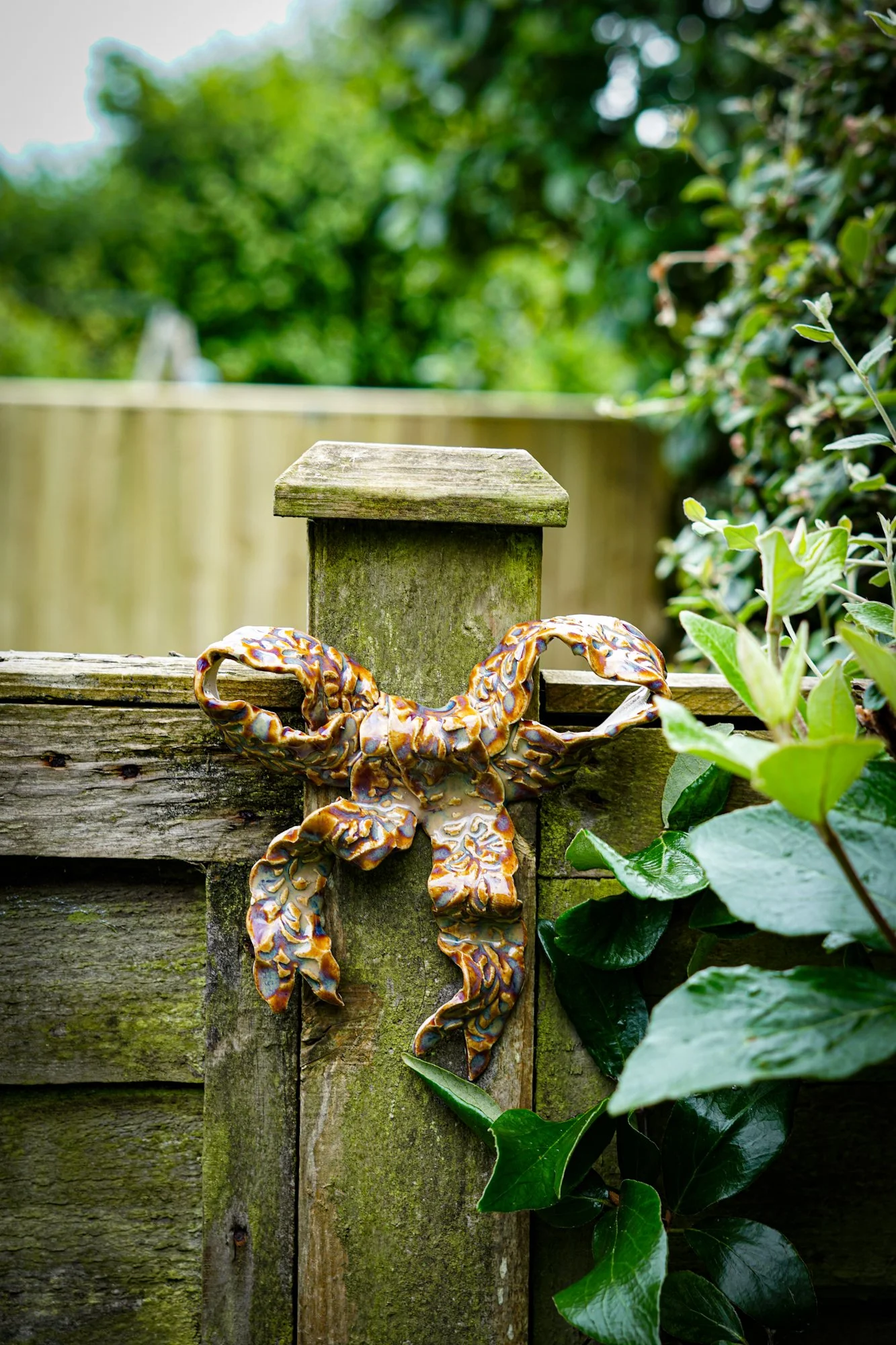 Bow Wall Hangings - Amber