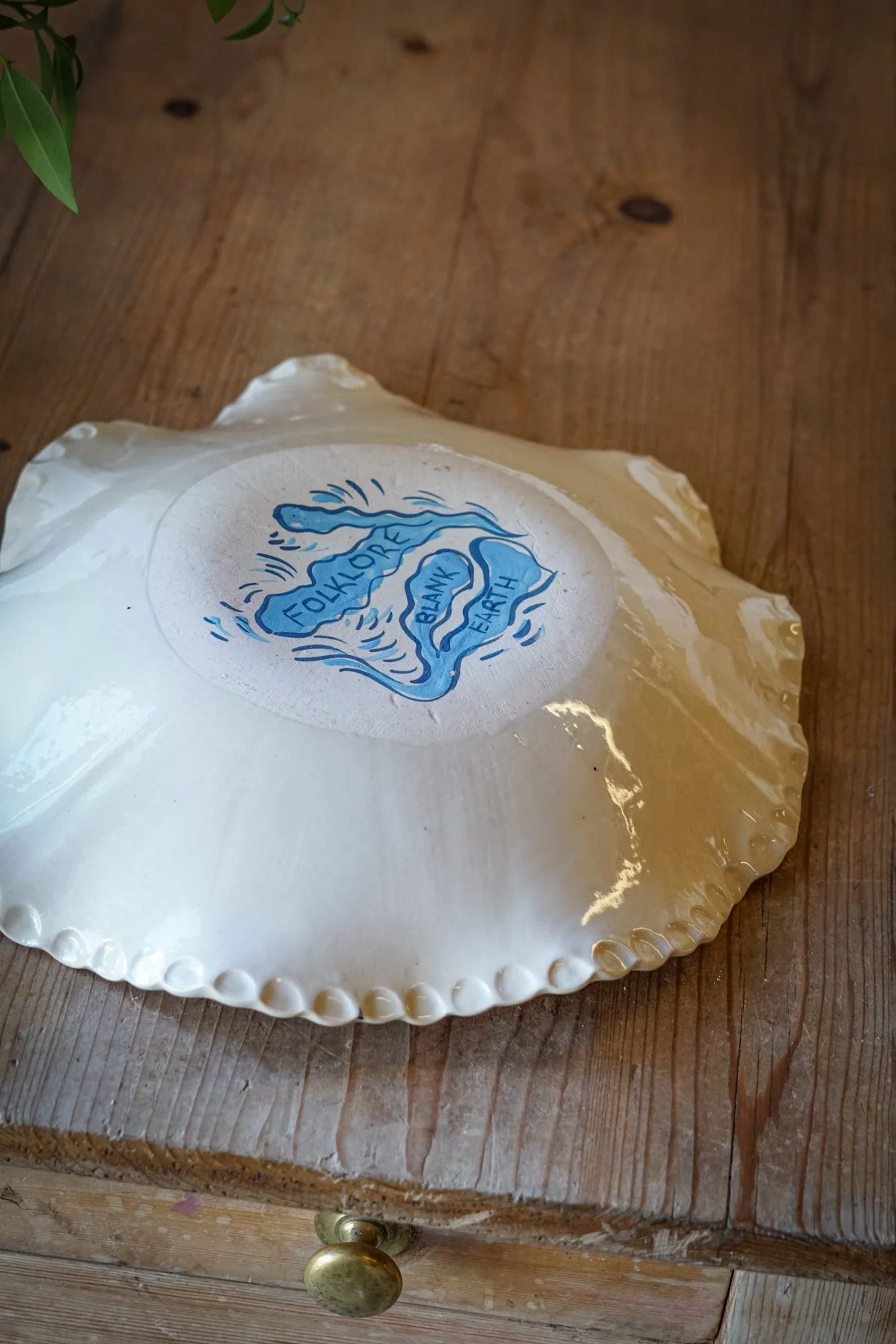 dish-kelpie-3.JPG