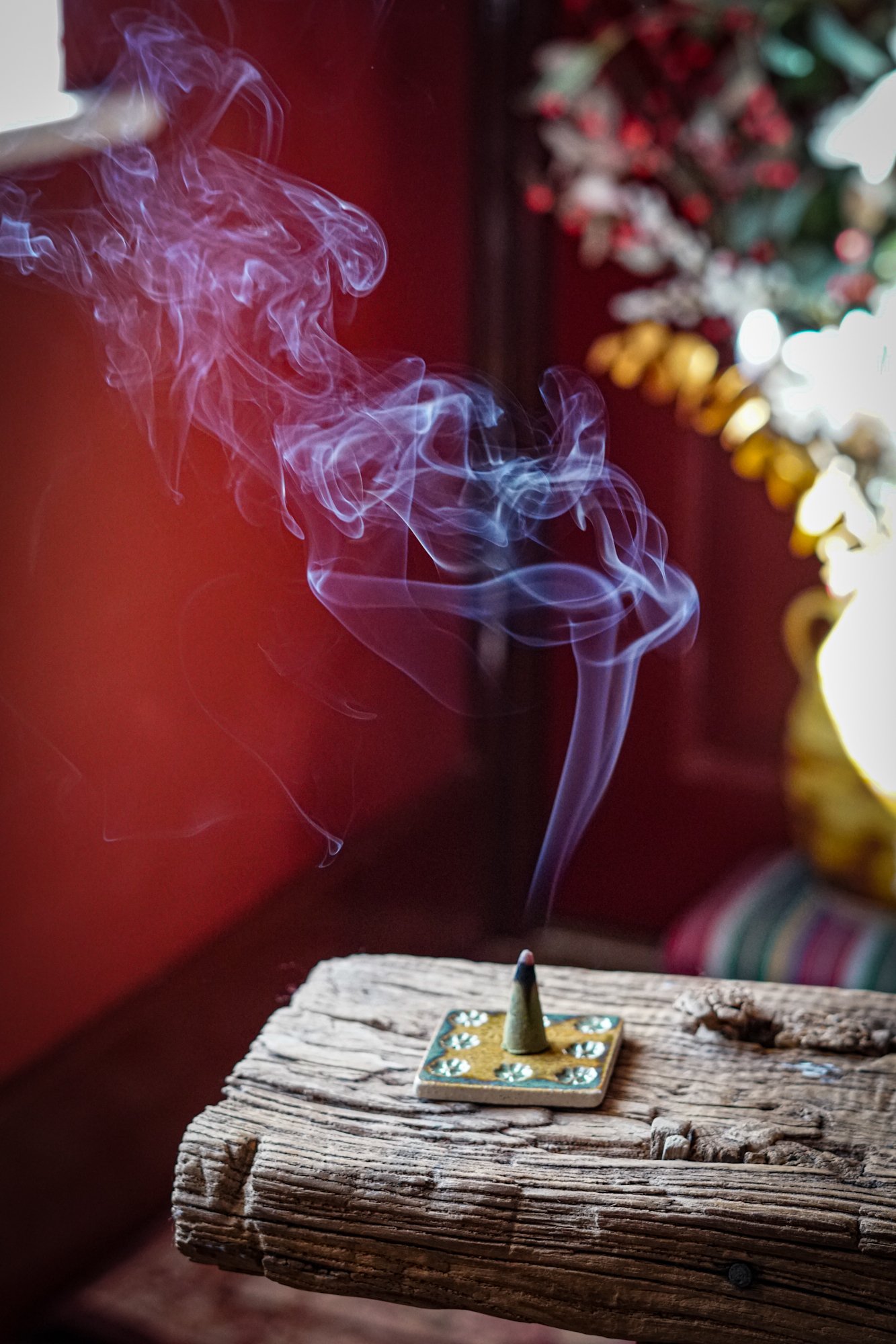 incense-daffodils-09.JPG