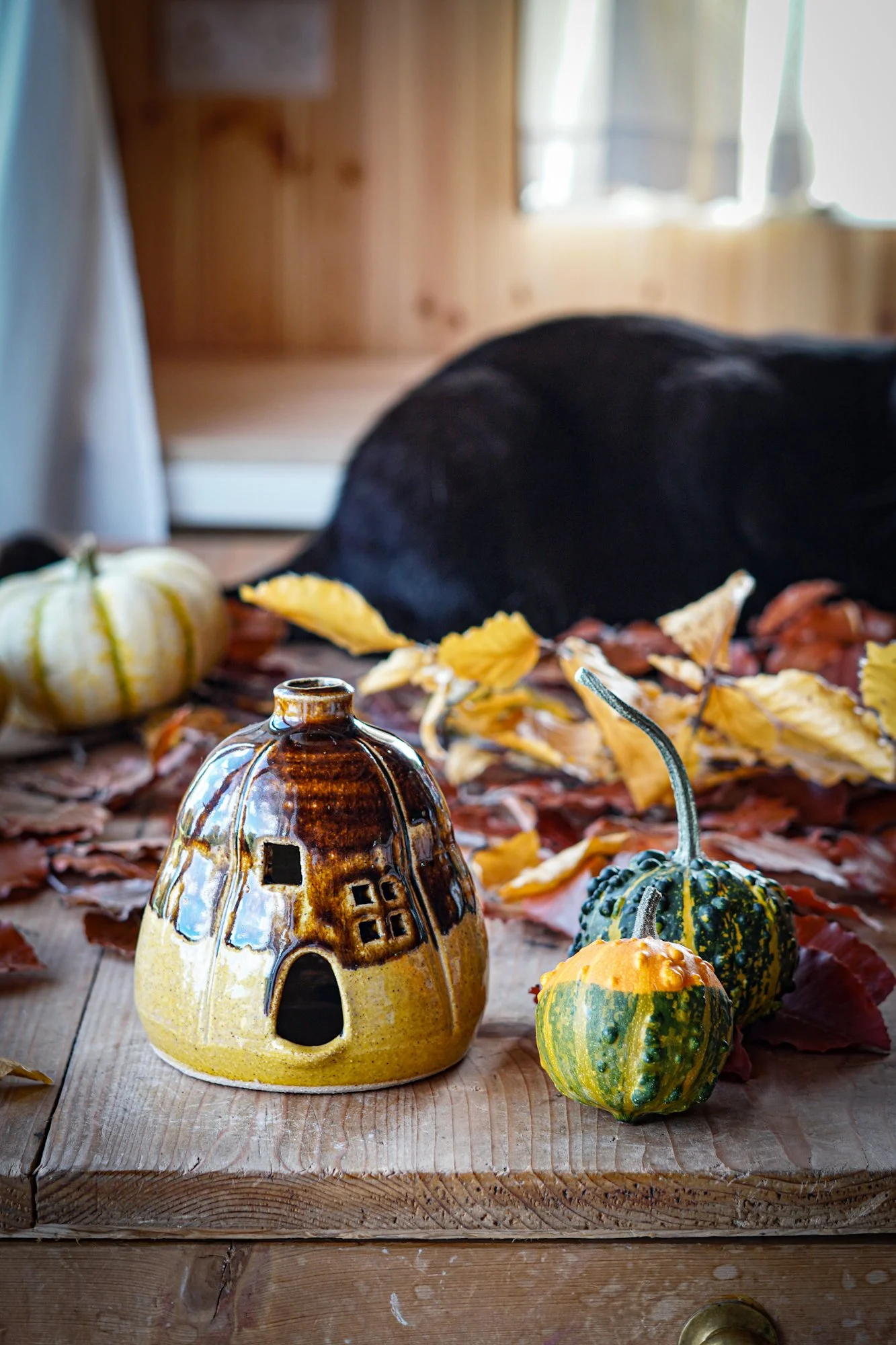 BlankEarth-pumpkin-incense-yellow-05.JPG