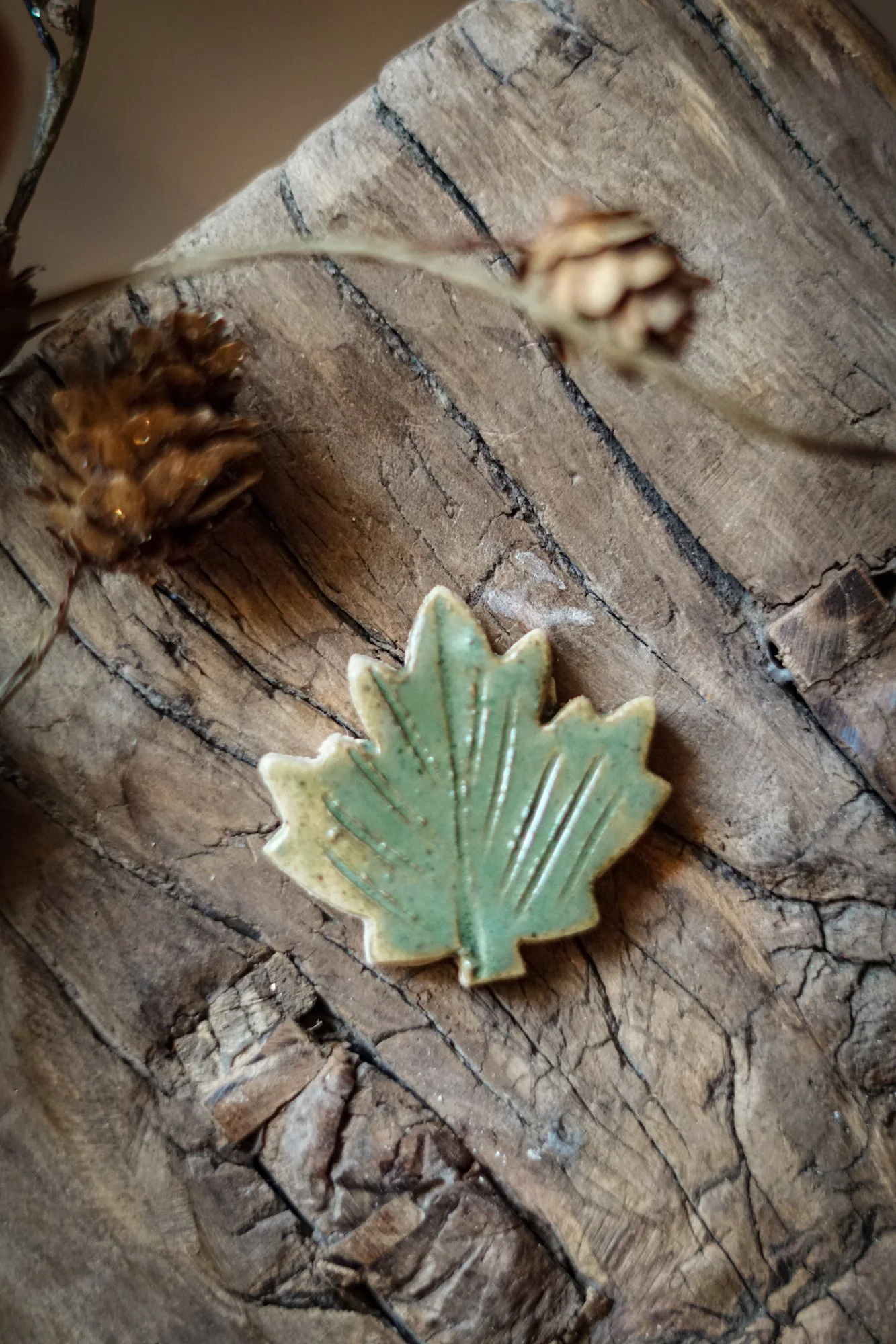 maple-leaf-4.JPG