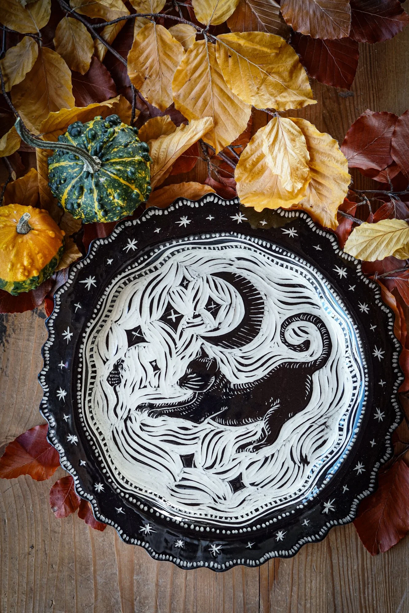 BlankEarth-plate-cat-5.JPG