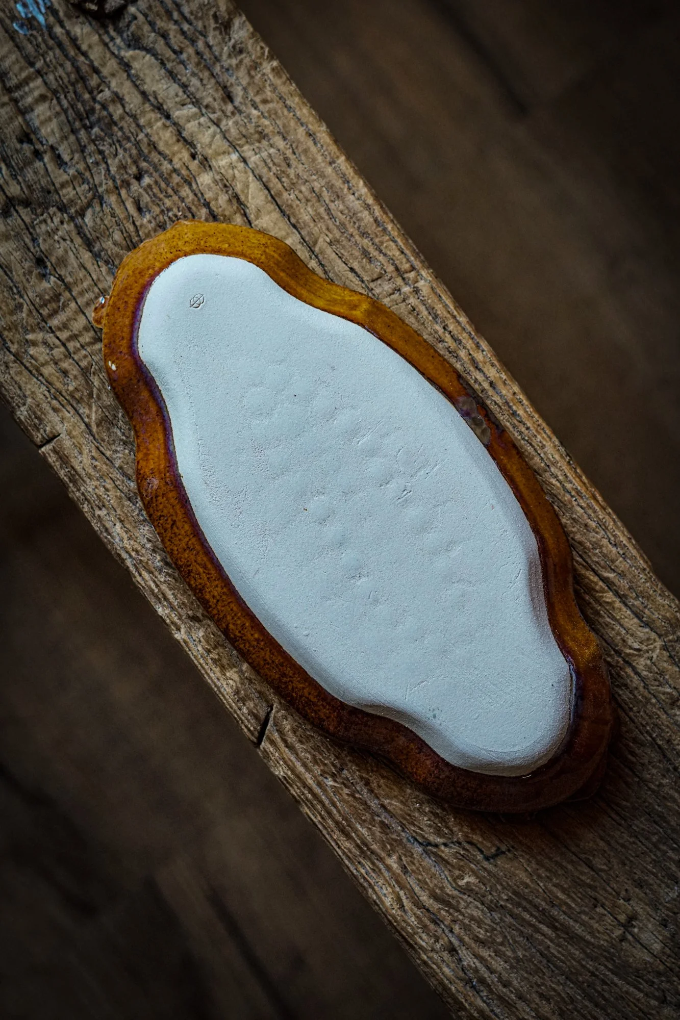 trinket dish - shell-2.JPG