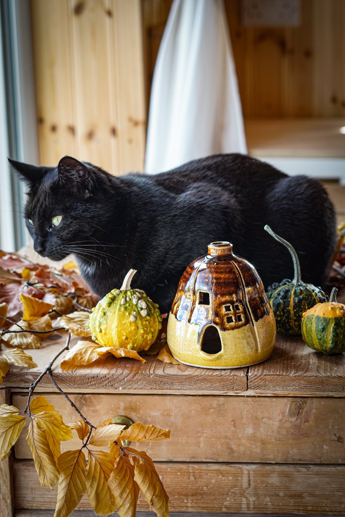 BlankEarth-pumpkin-incense-yellow-06.JPG