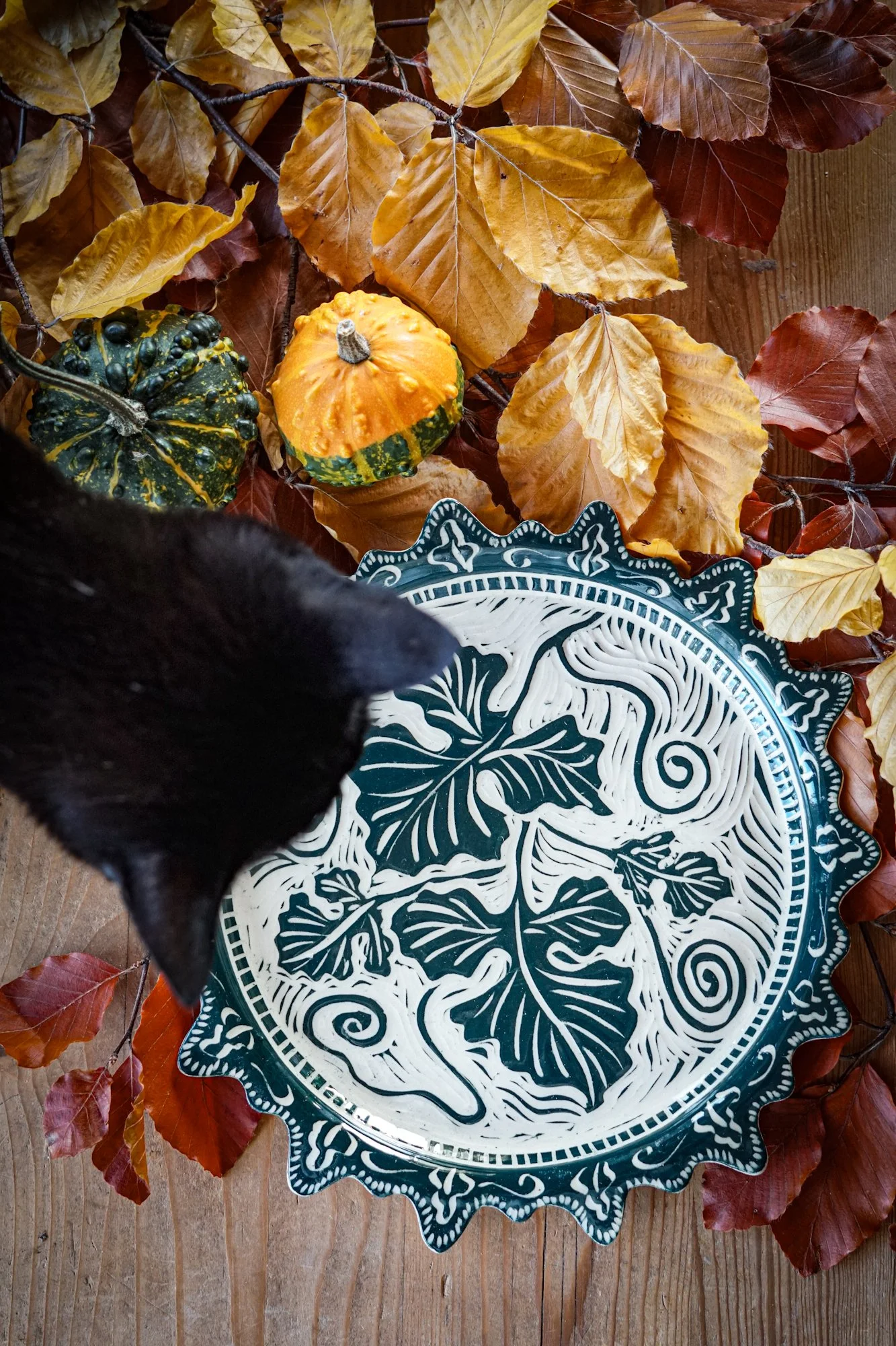 BlankEarth-plate-ivy-2.JPG
