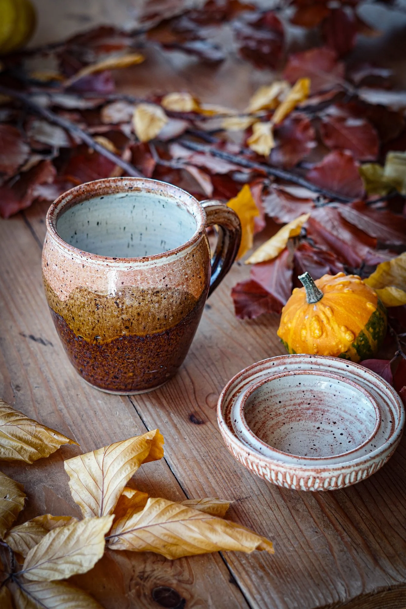 BlankEarth-Mug-acorn-b-4.JPG
