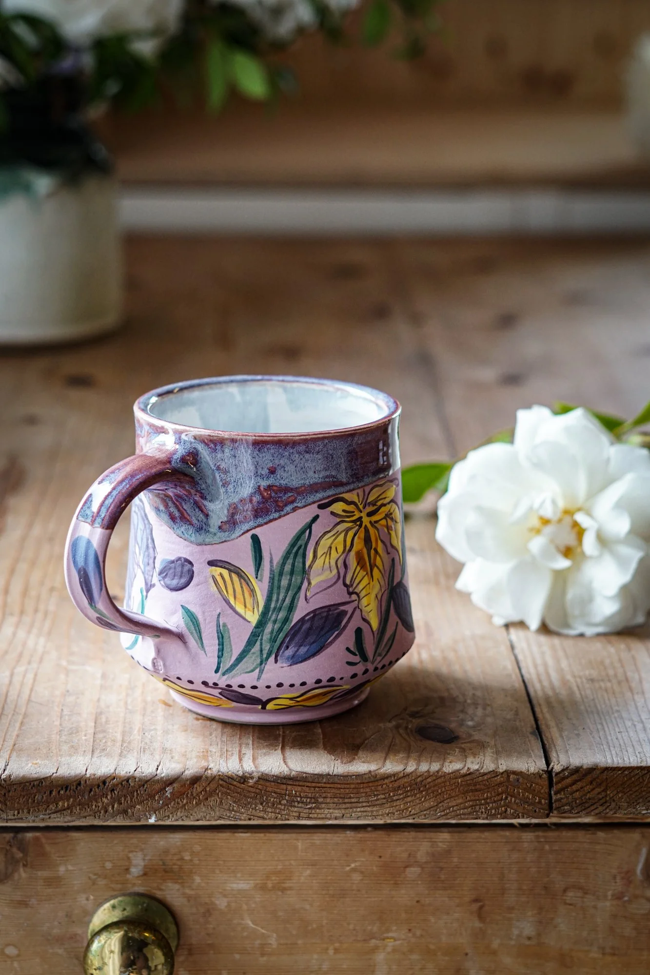 mug-iris-5.JPG
