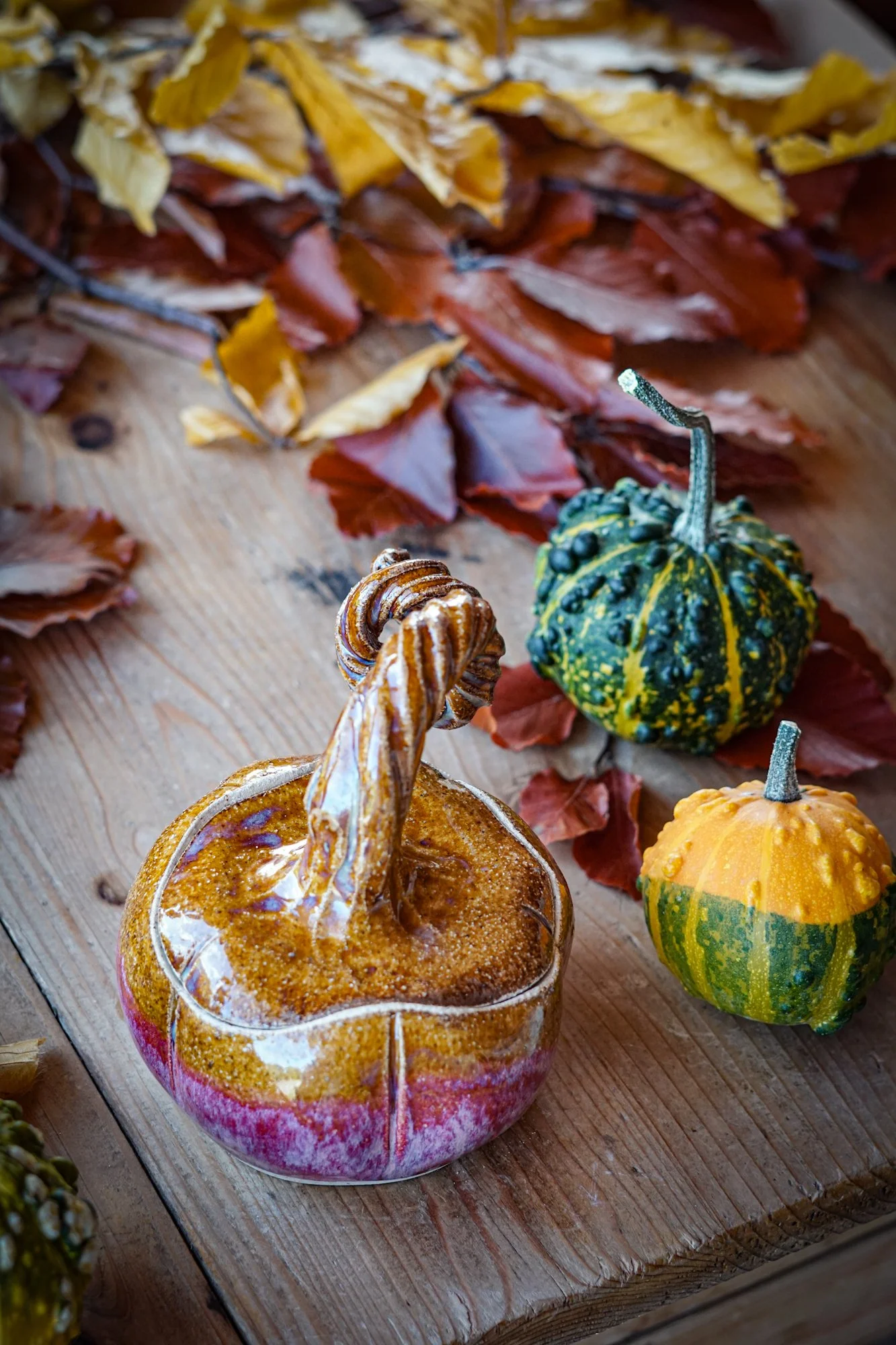 BlankEarth-pumpkin-jar-pink-5 2.JPG