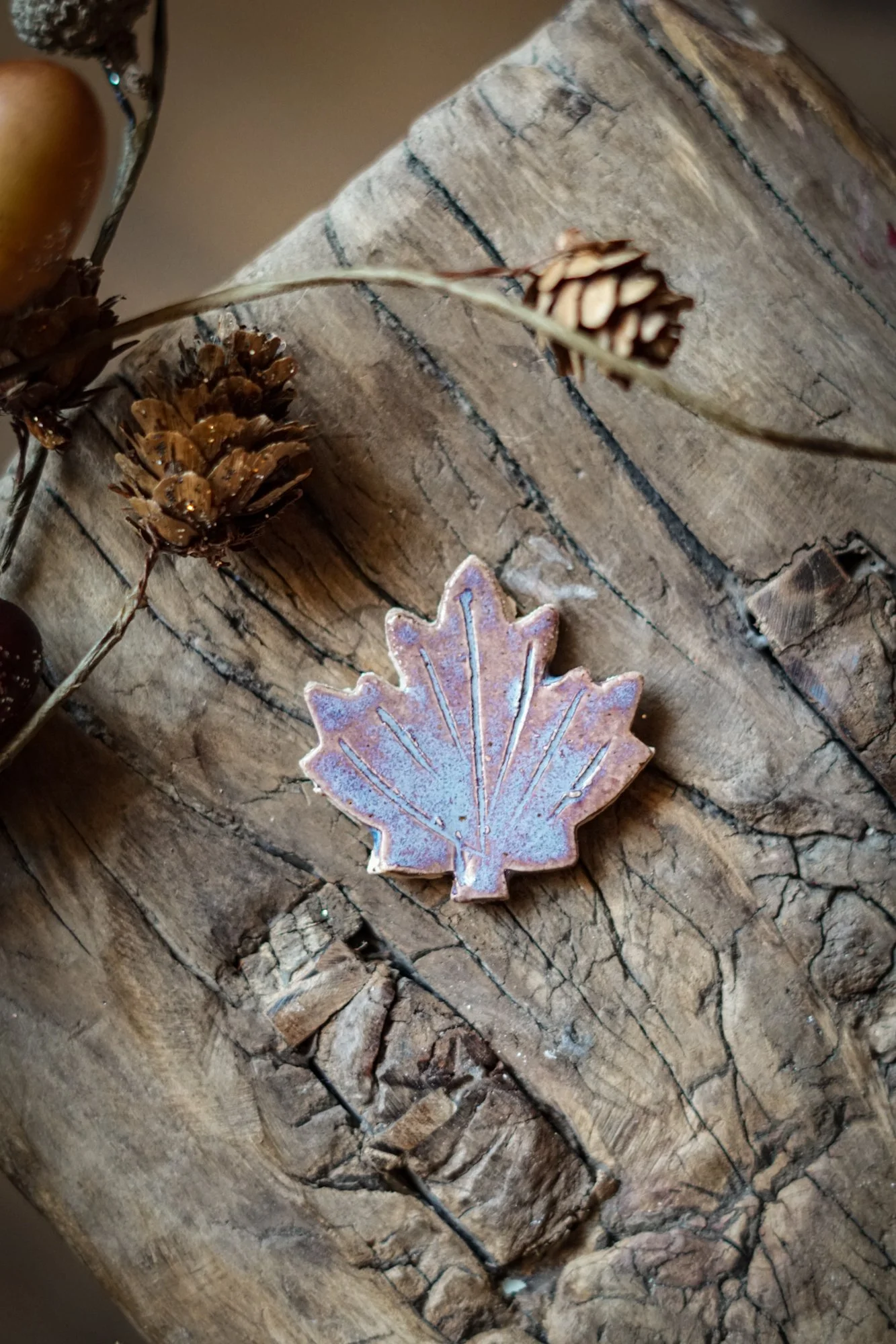 maple-leaf-3.JPG
