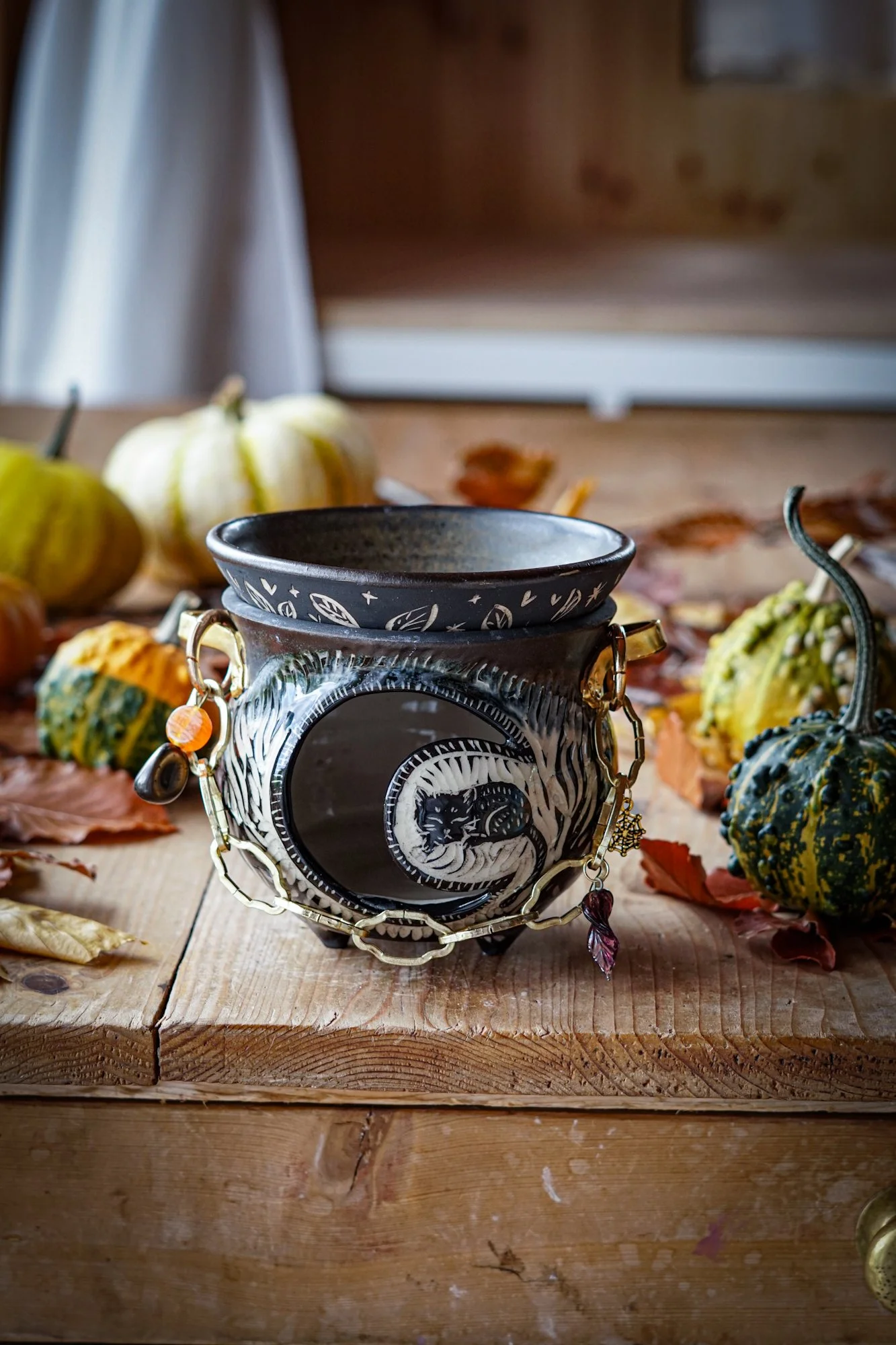 BlankEarth-cauldron-cat-04.JPG