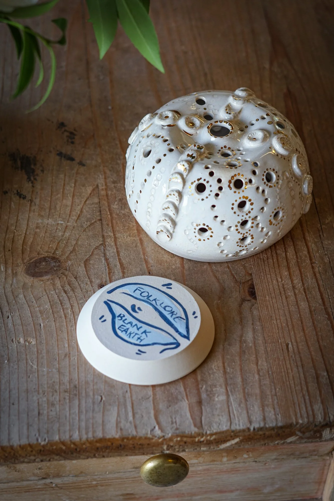urchin white-02.JPG