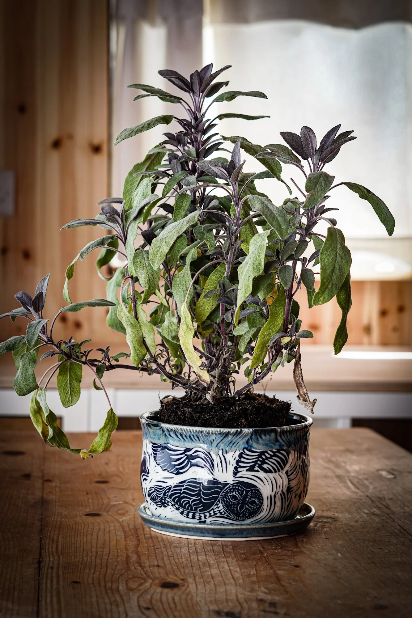 BlankEarth-pot-owl-08.JPG
