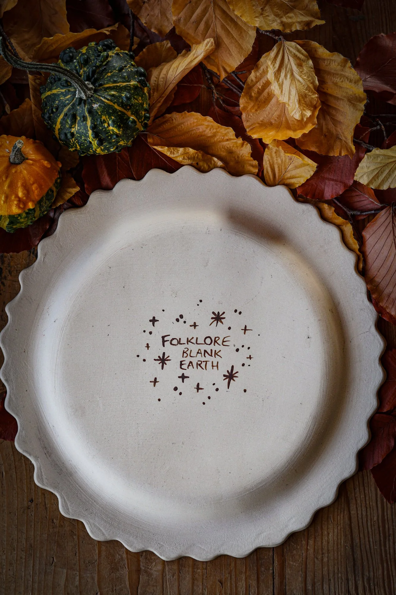 BlankEarth-plate-cat-6.JPG