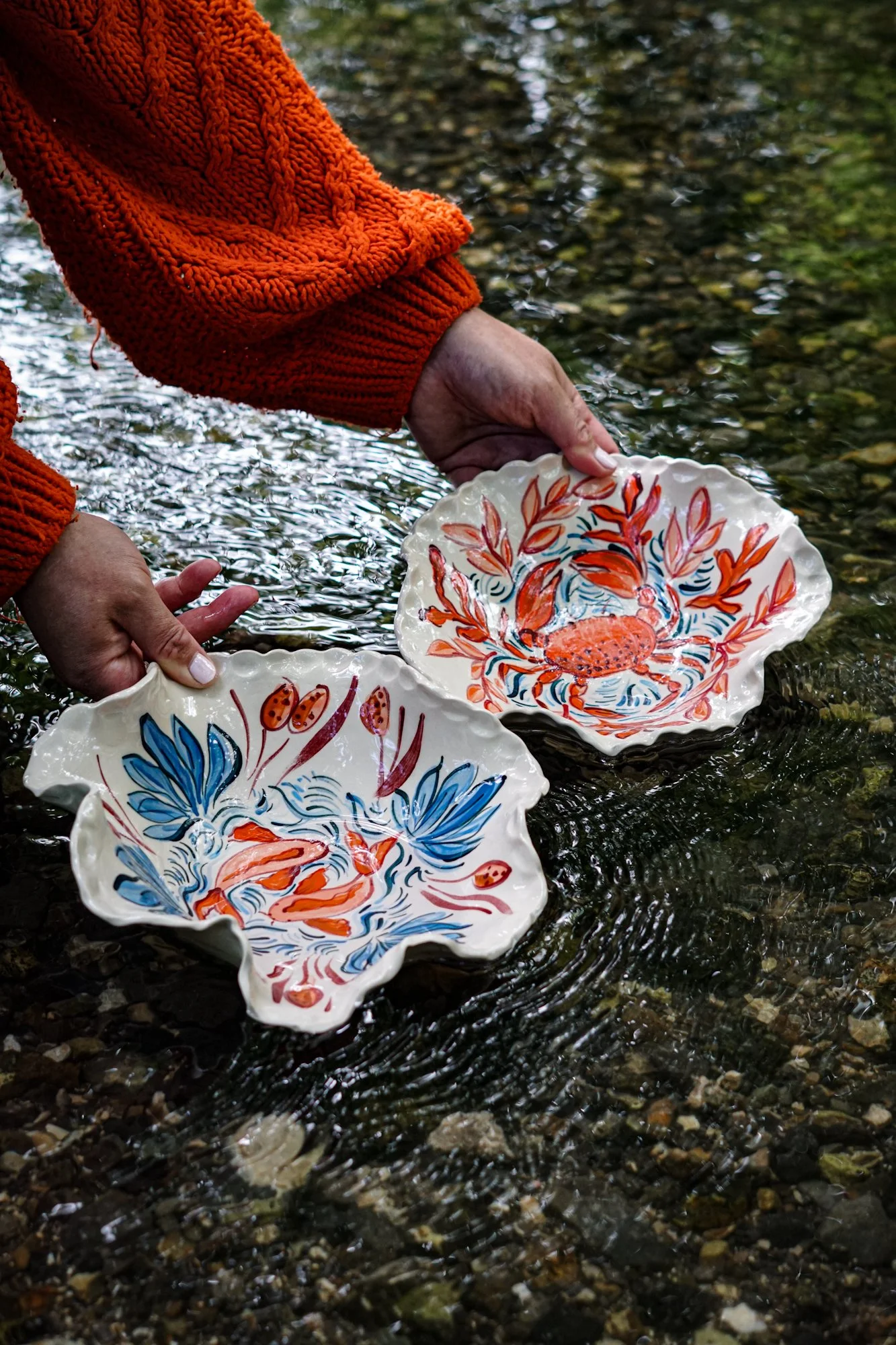 dish-koi-3.JPG