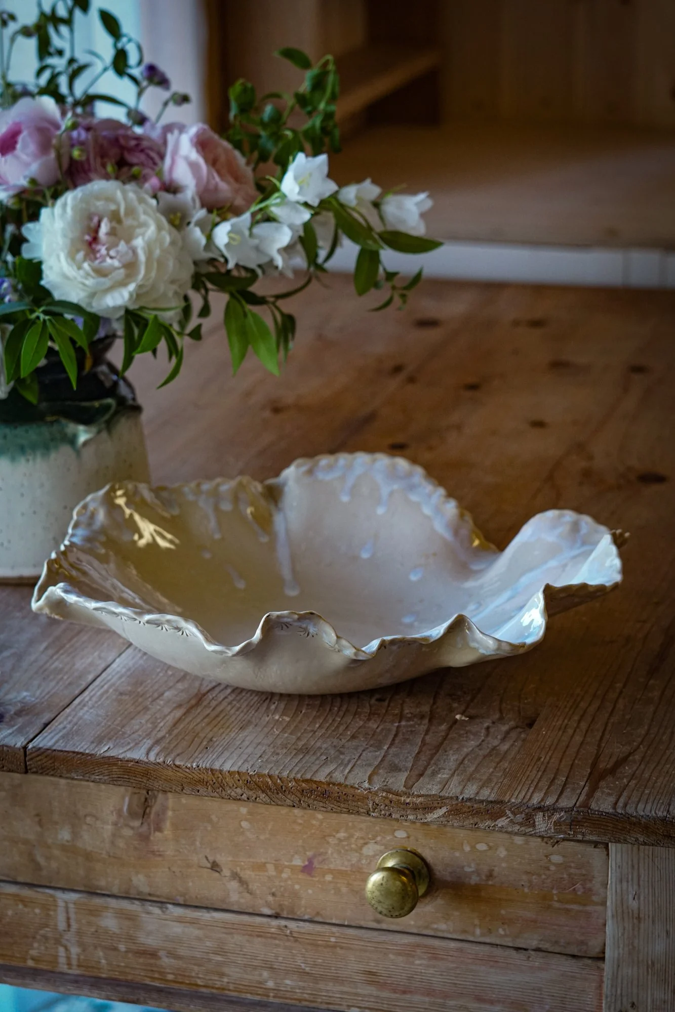 dish-shell-5.JPG