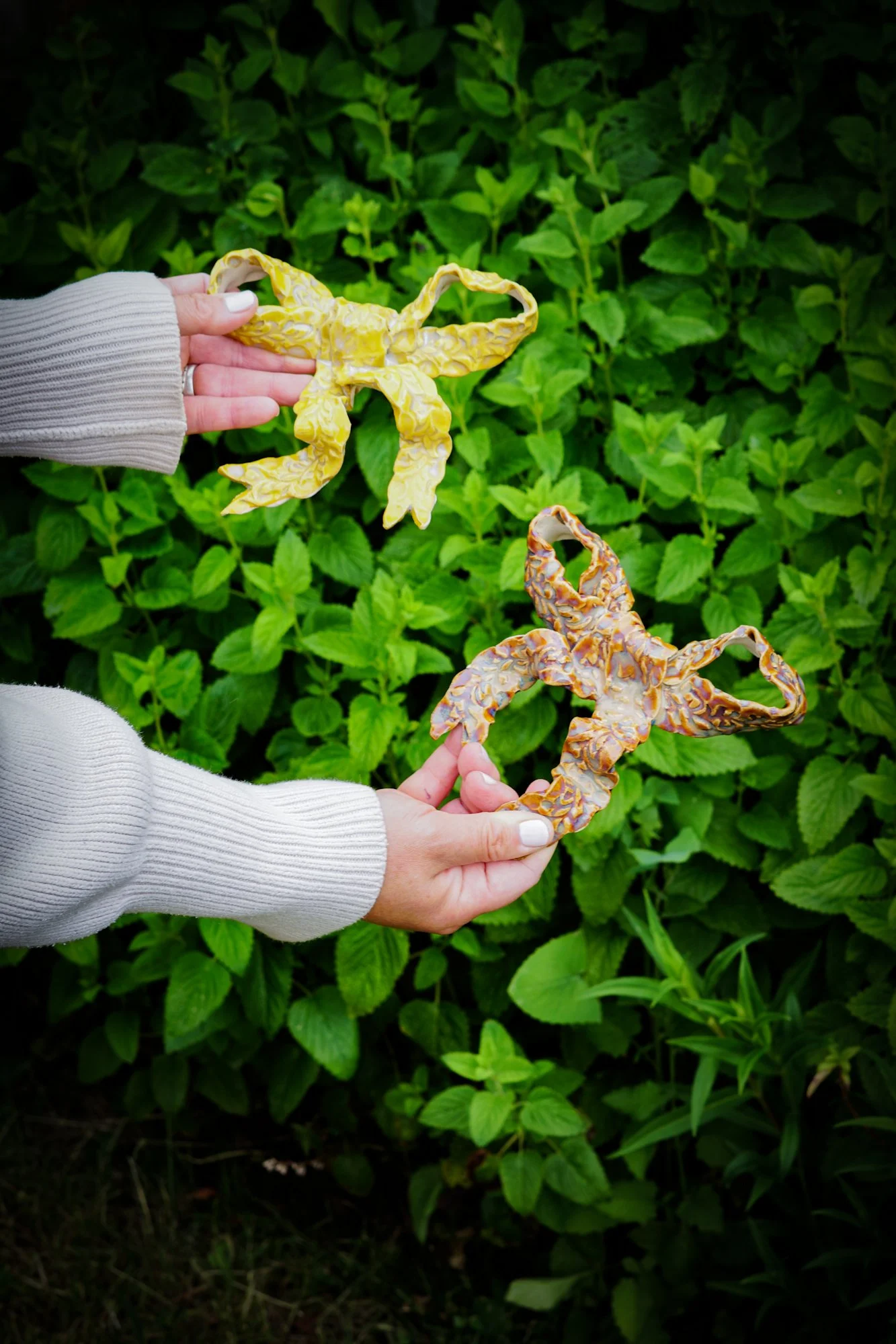 bow-amber-1.JPG