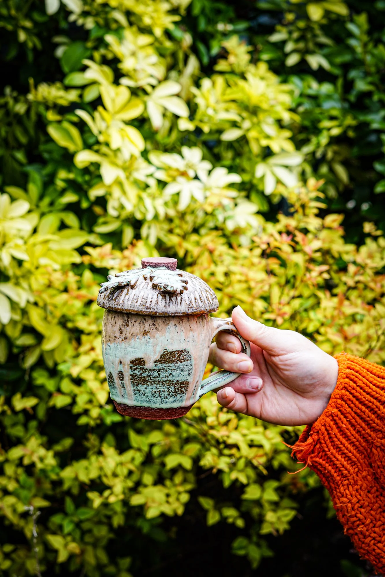 acorn green earth-09.JPG