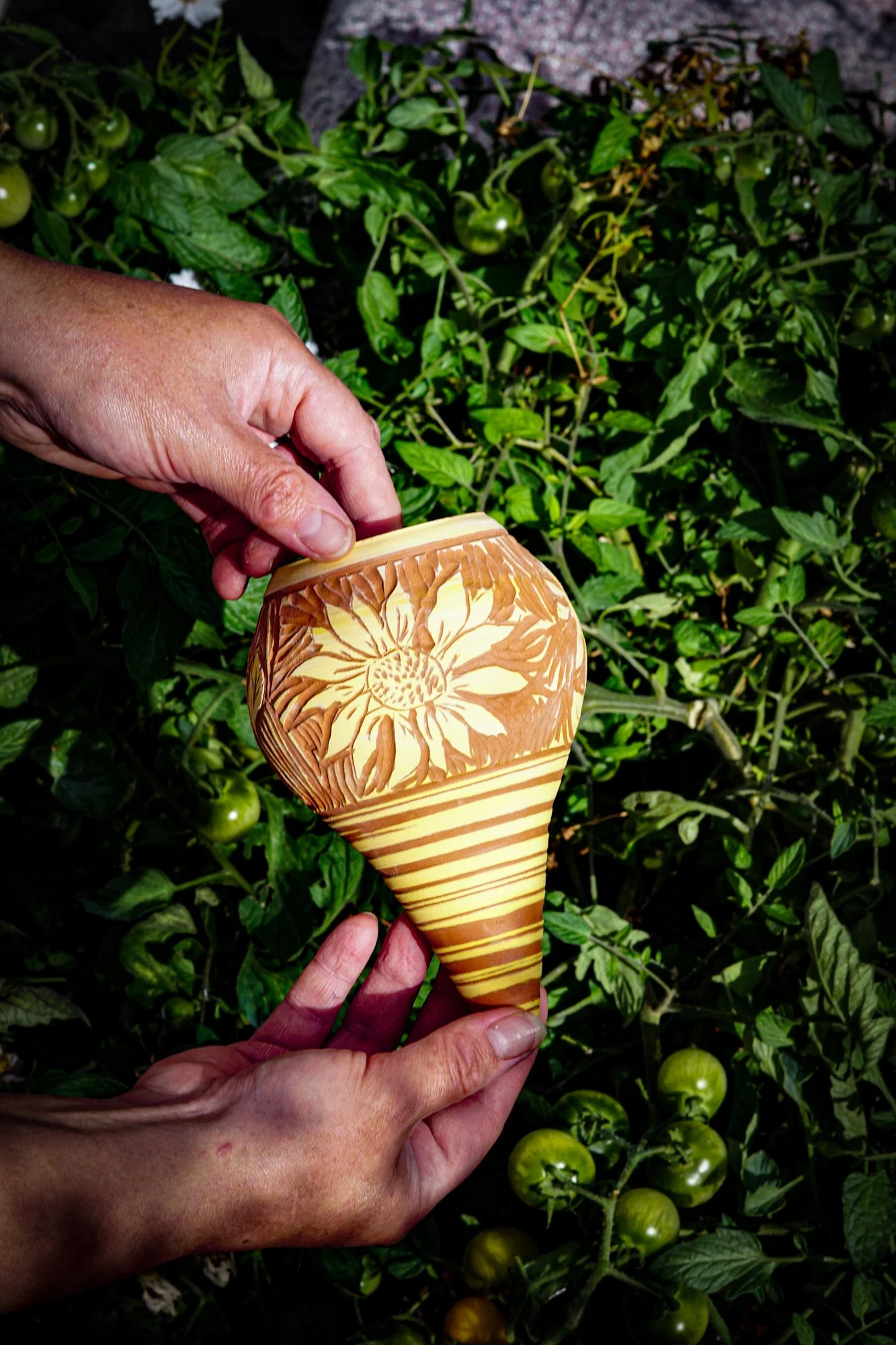 BlankEarth-waterer-sunflower-1.JPG