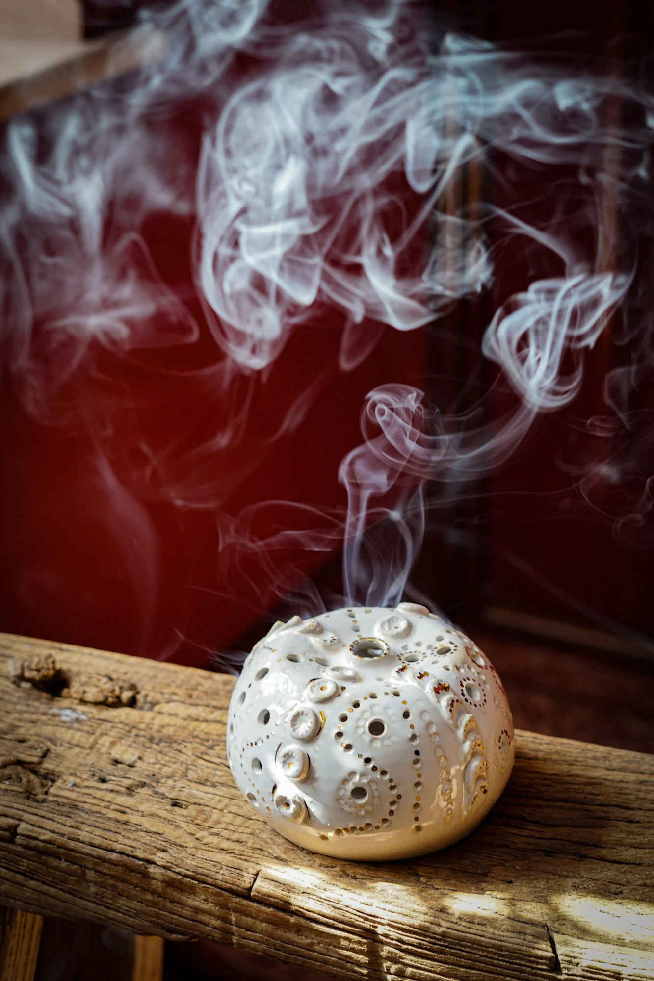 urchin white-09.JPG
