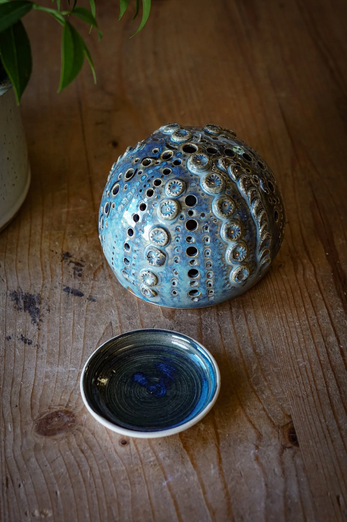 urchin cobalt-01.JPG