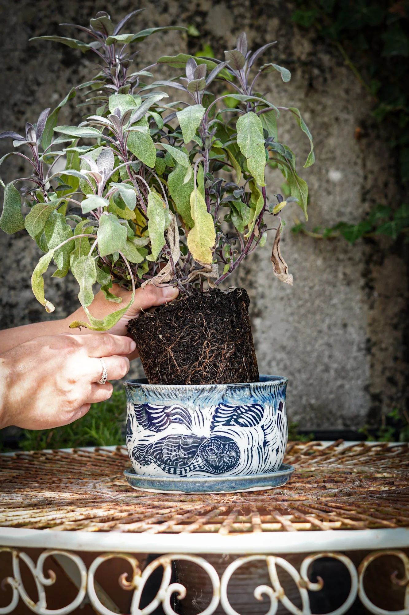 BlankEarth-pot-owl-01.JPG