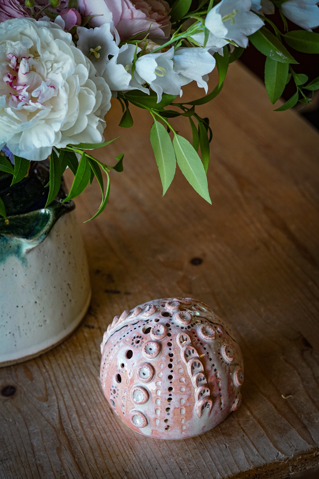 urchin shell-05.JPG