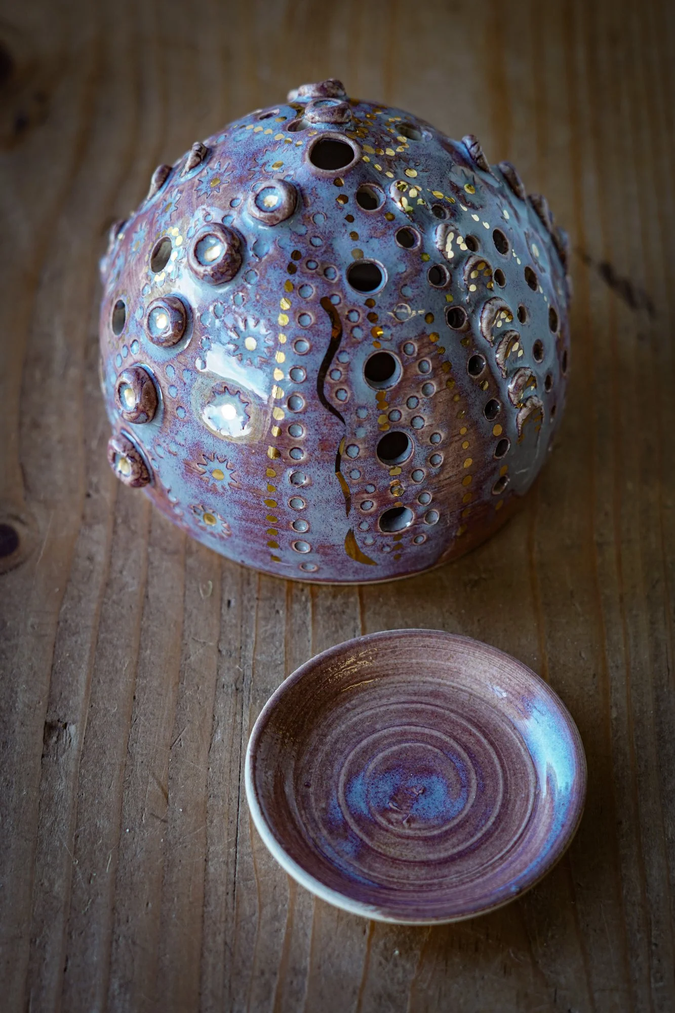 urchin purple-2.JPG