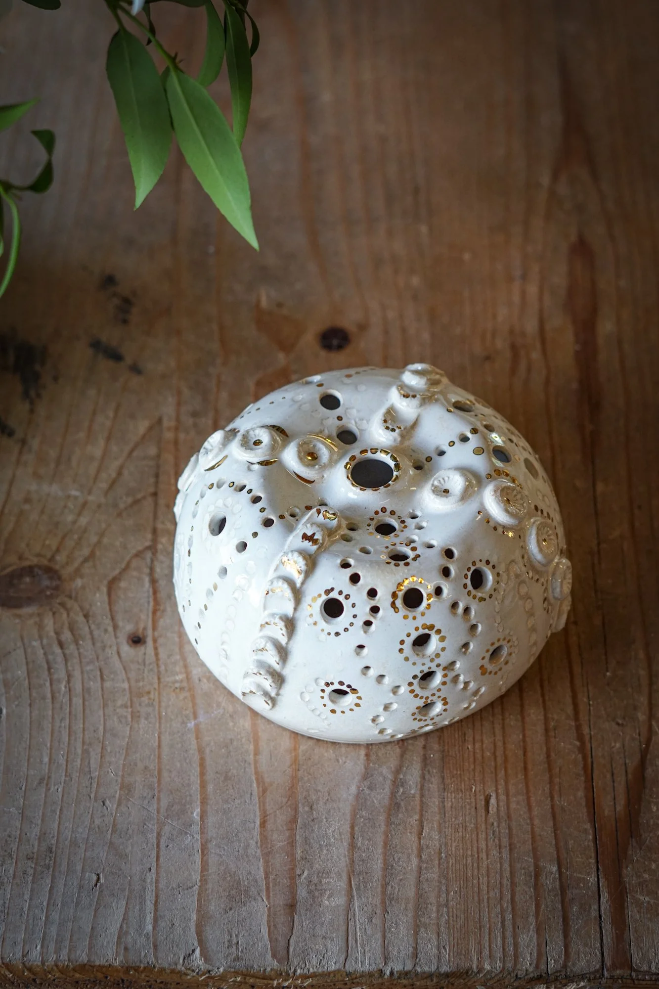 urchin white-03.JPG