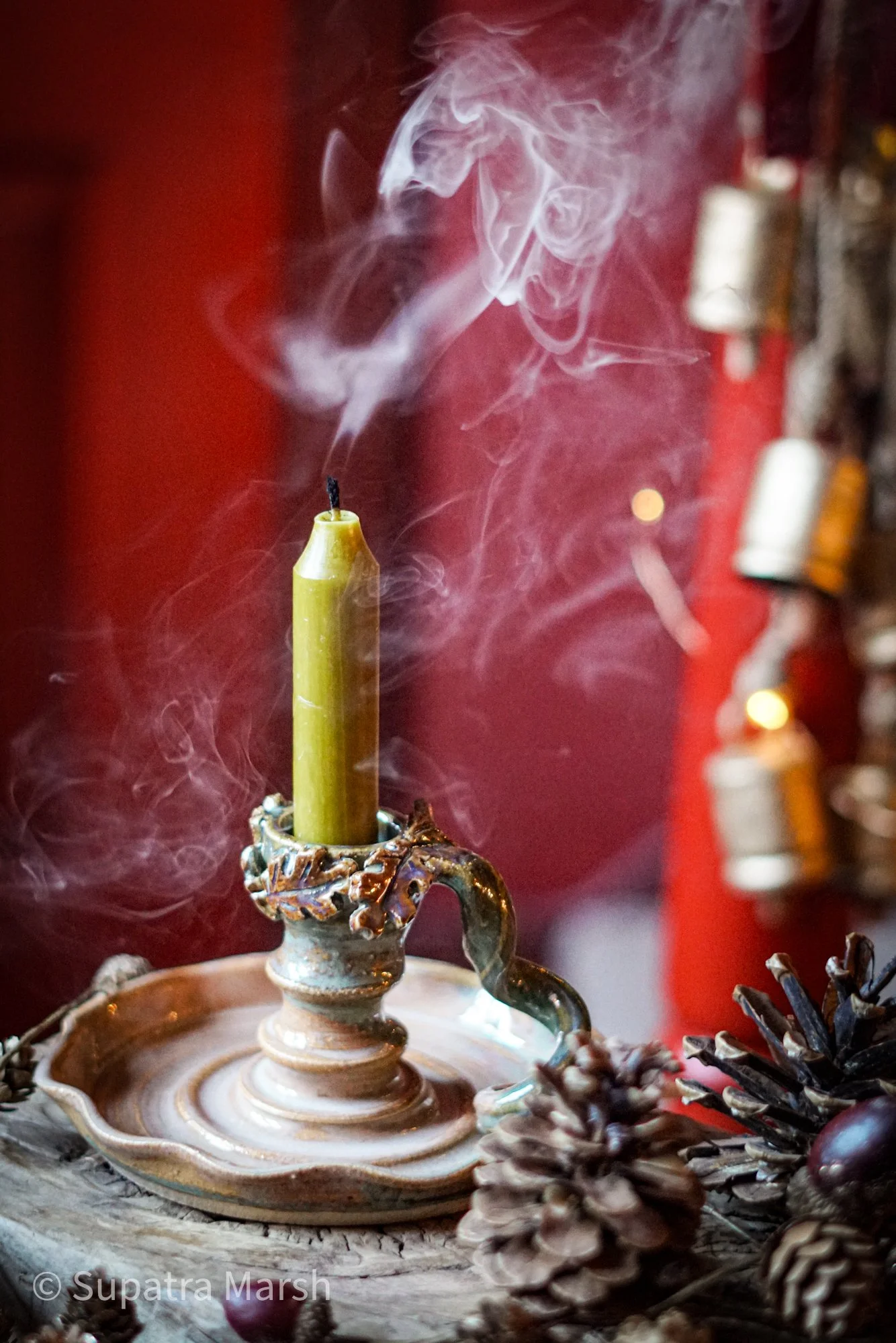 candle-stick-seaweed-12.JPG