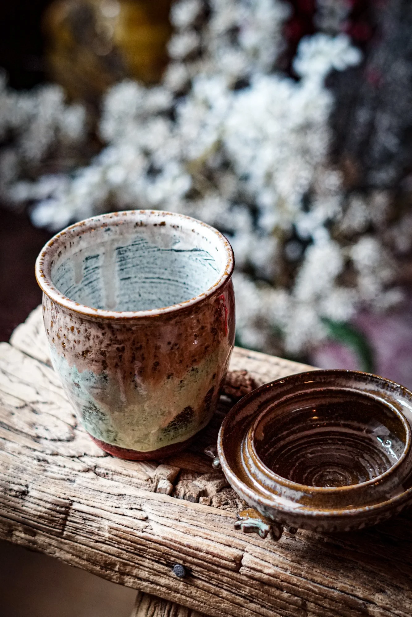 acorn green earth-08.JPG