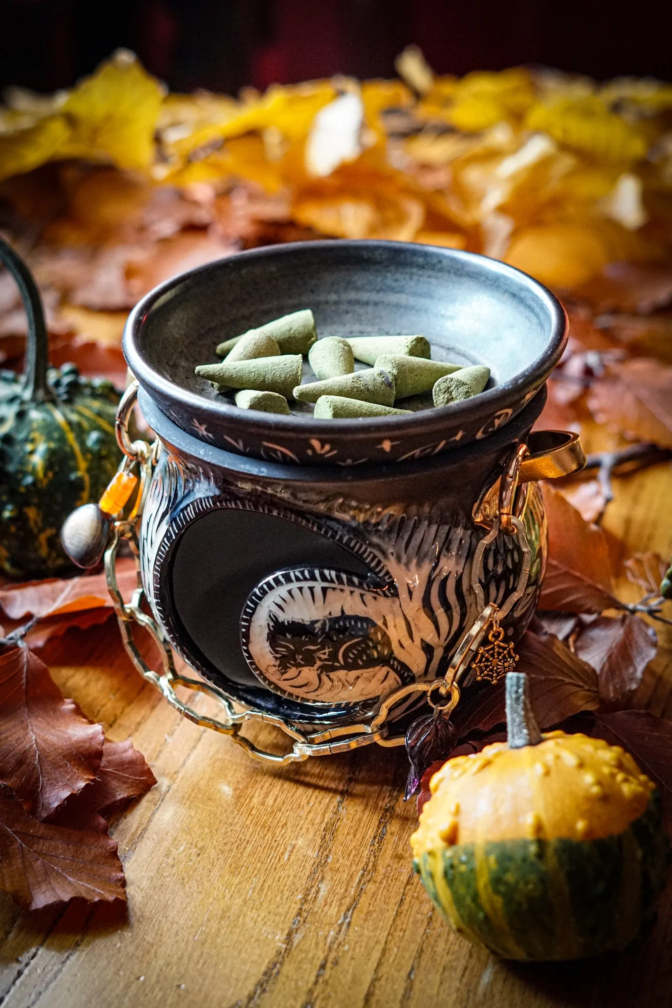 BlankEarth-cauldron-cat-10.JPG