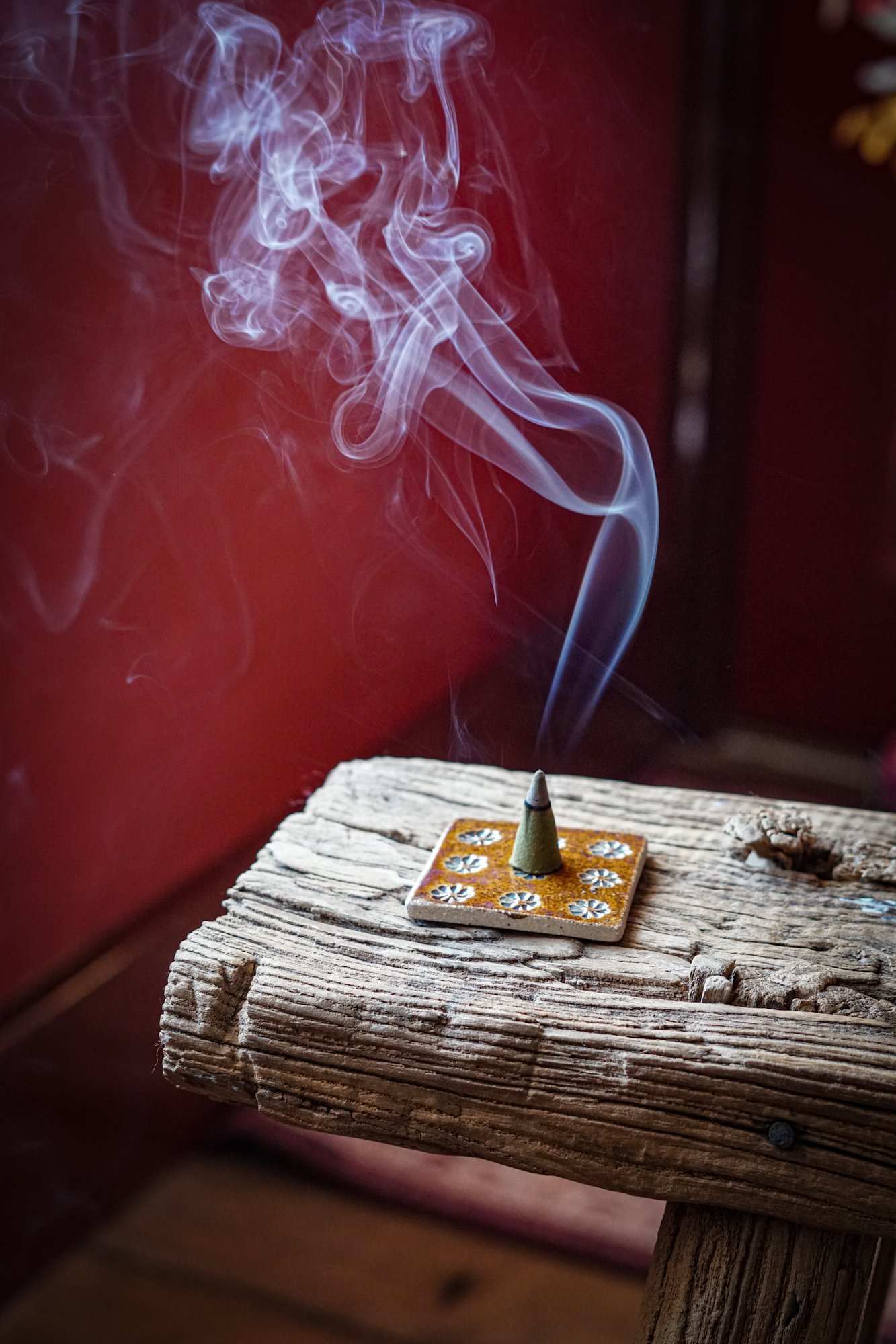 incense-mushrooms-03.JPG