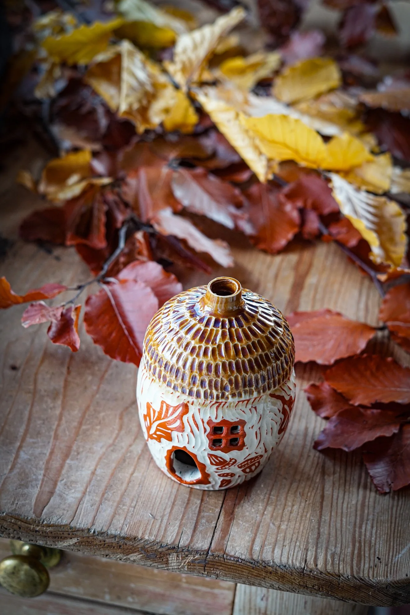 BlankEarth-acorn-05.JPG