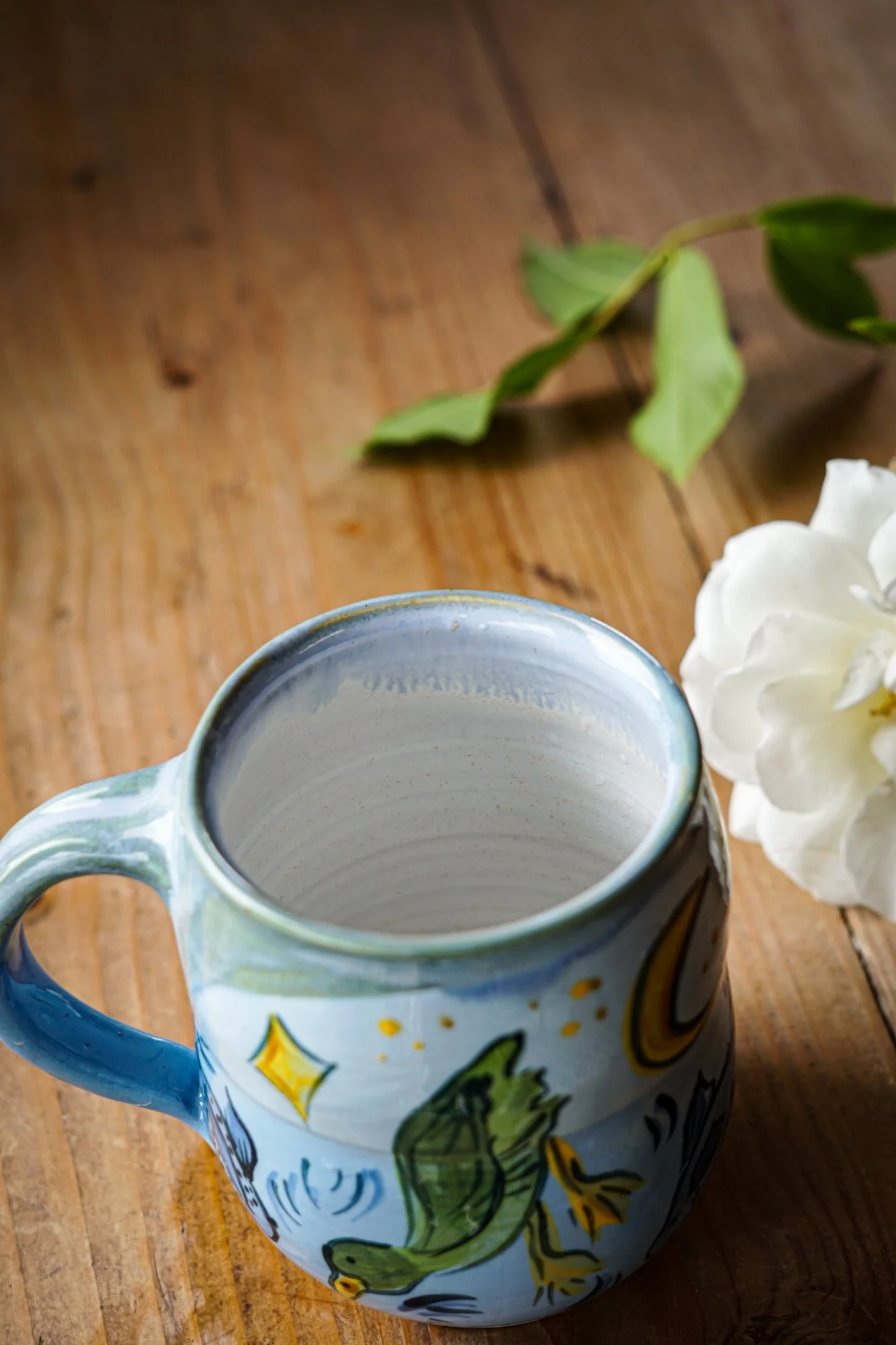 mug-duck-7.JPG