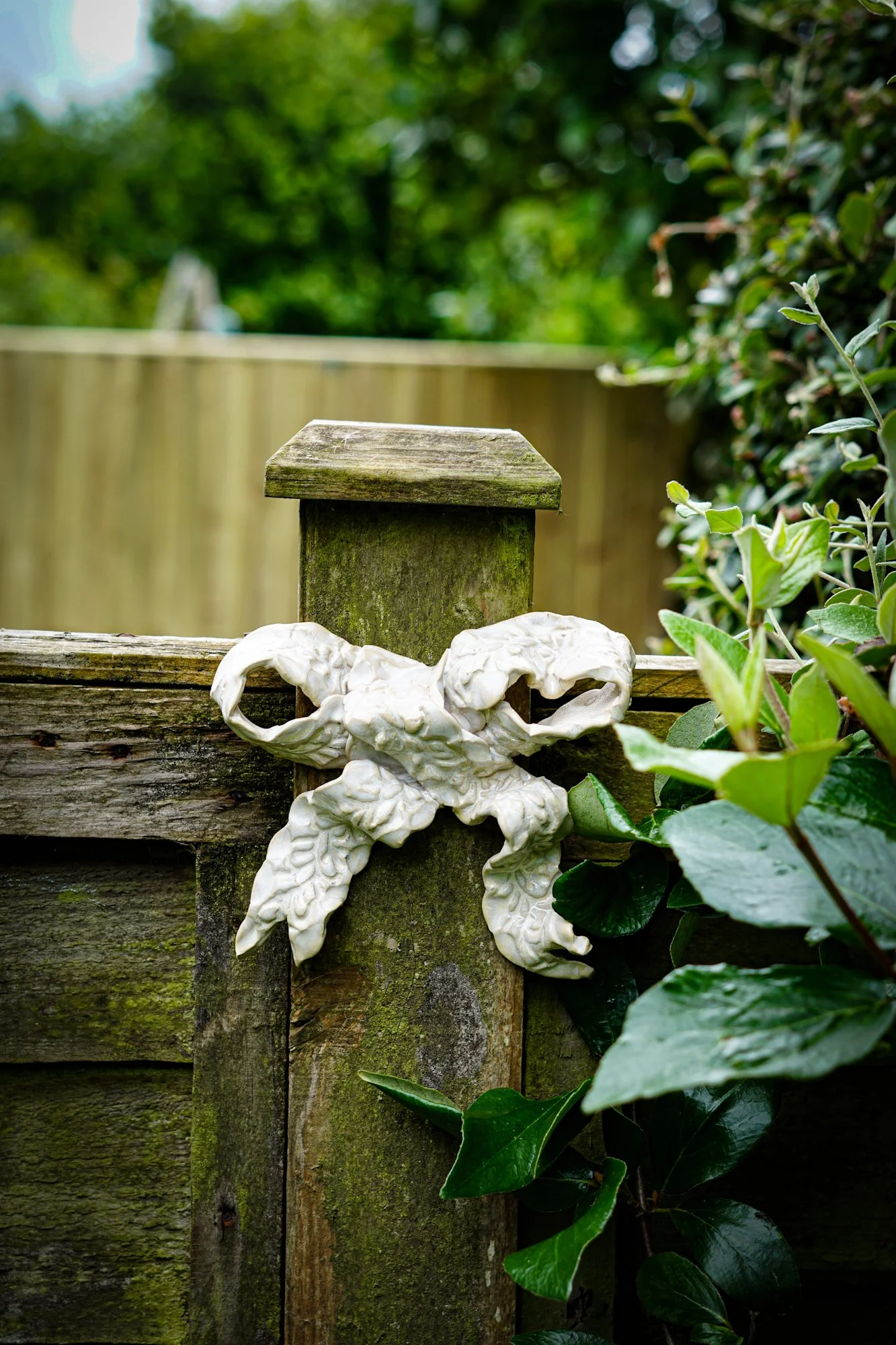 Bow Wall Hangings - White
