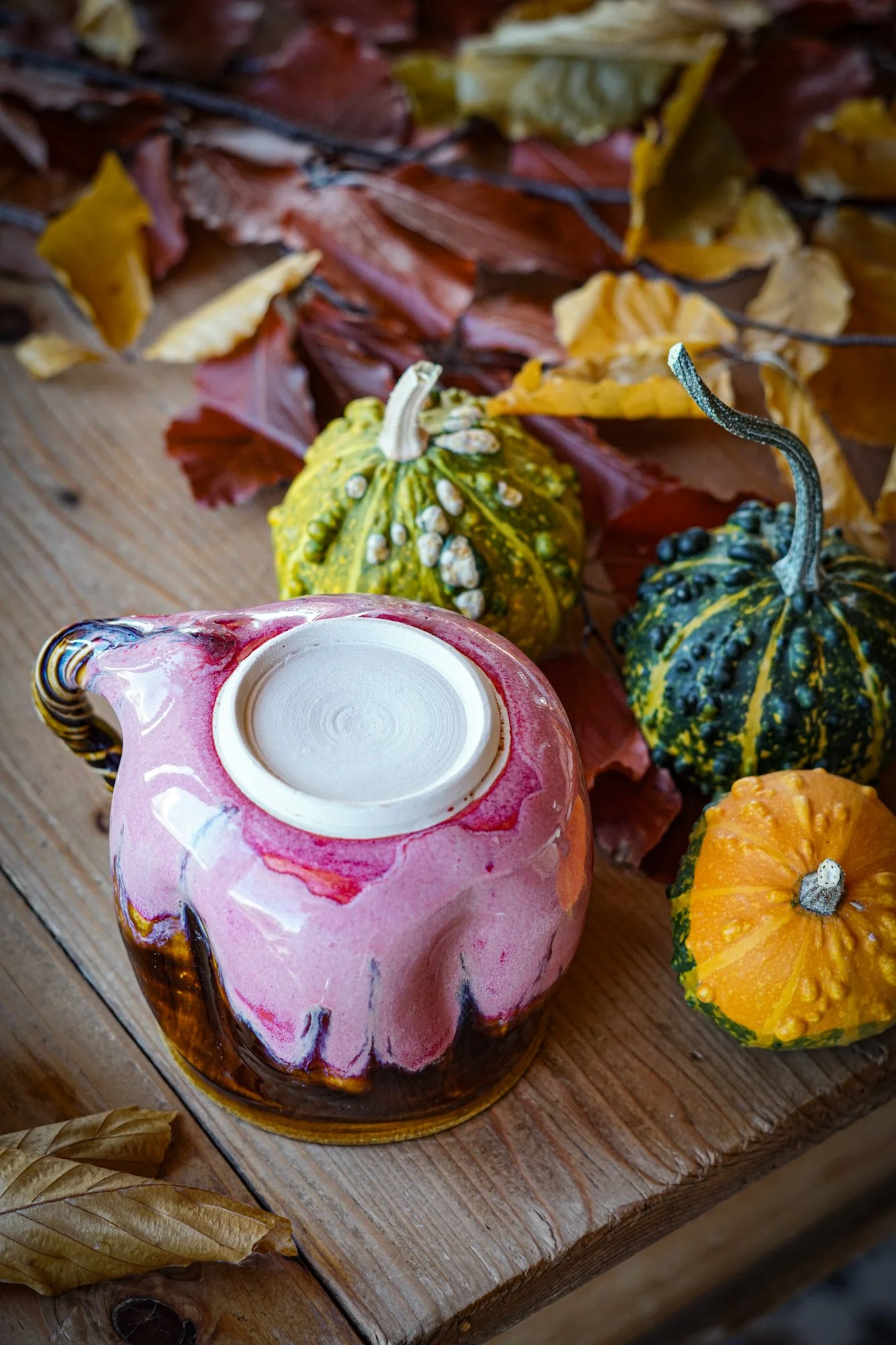 BlankEarth-pumpkin-mug-pink-6.JPG