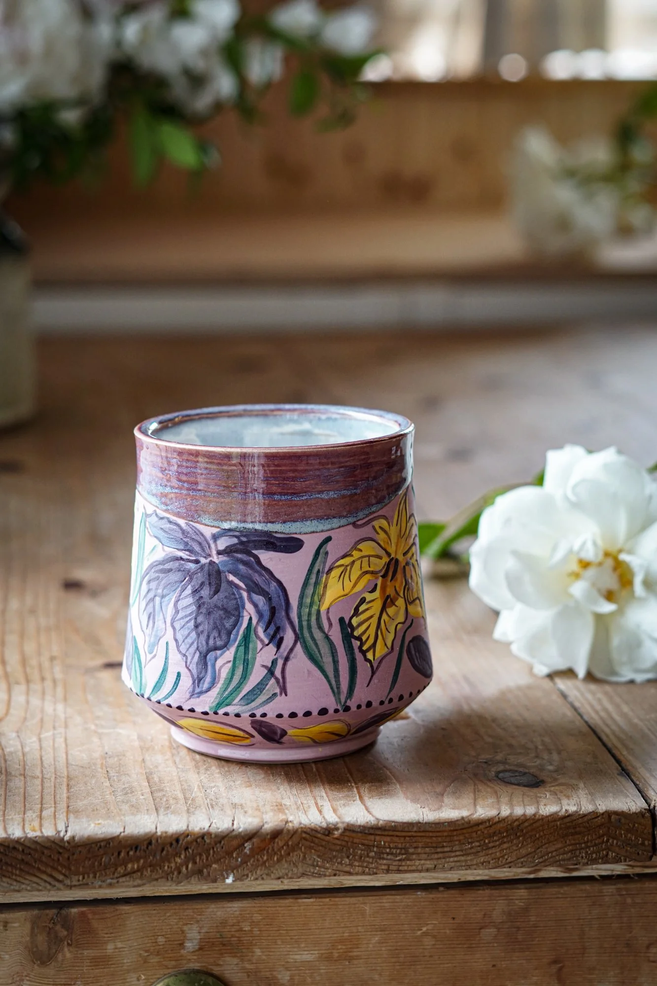 mug-iris-3.JPG