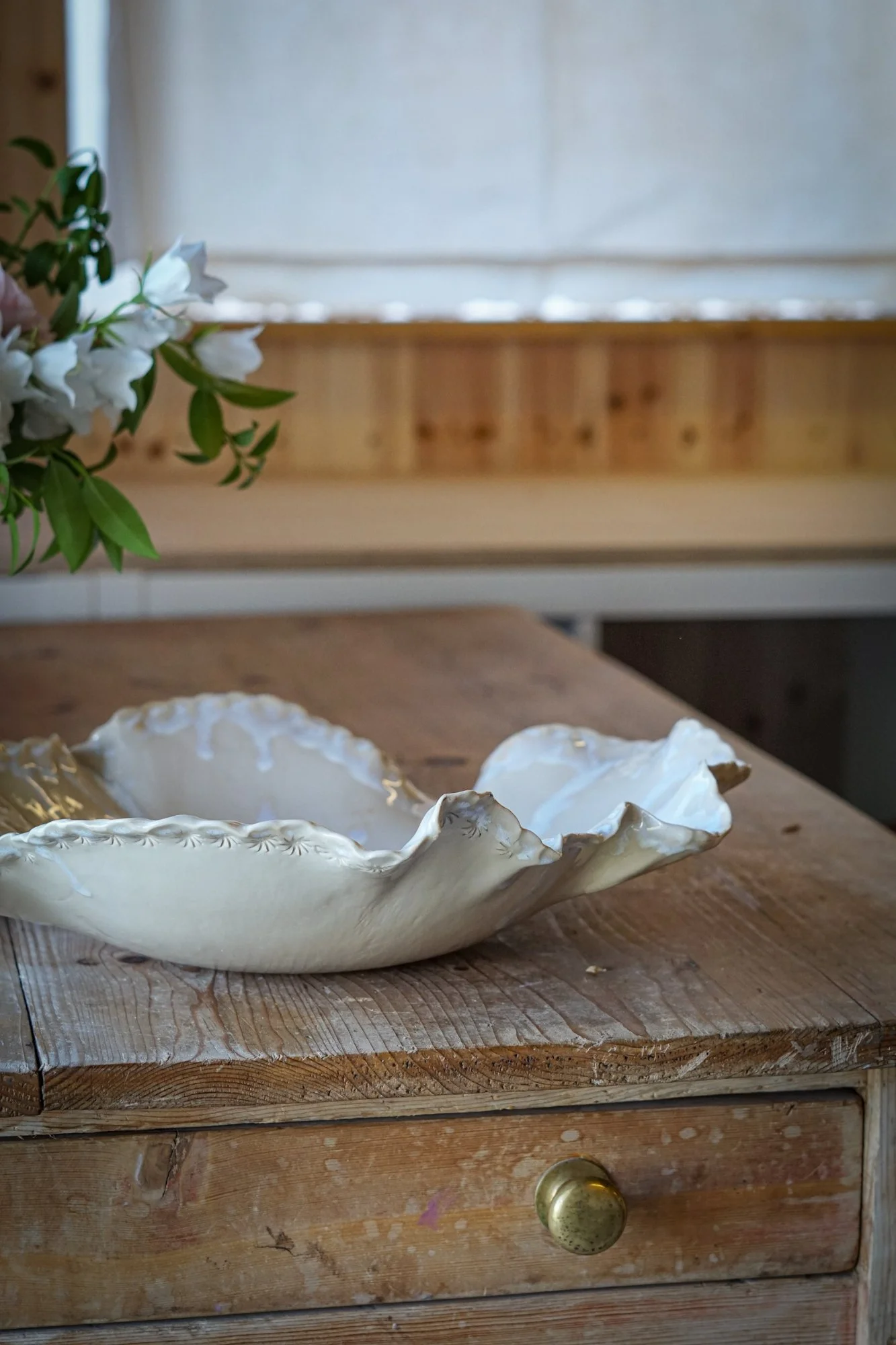 dish-shell-4.JPG