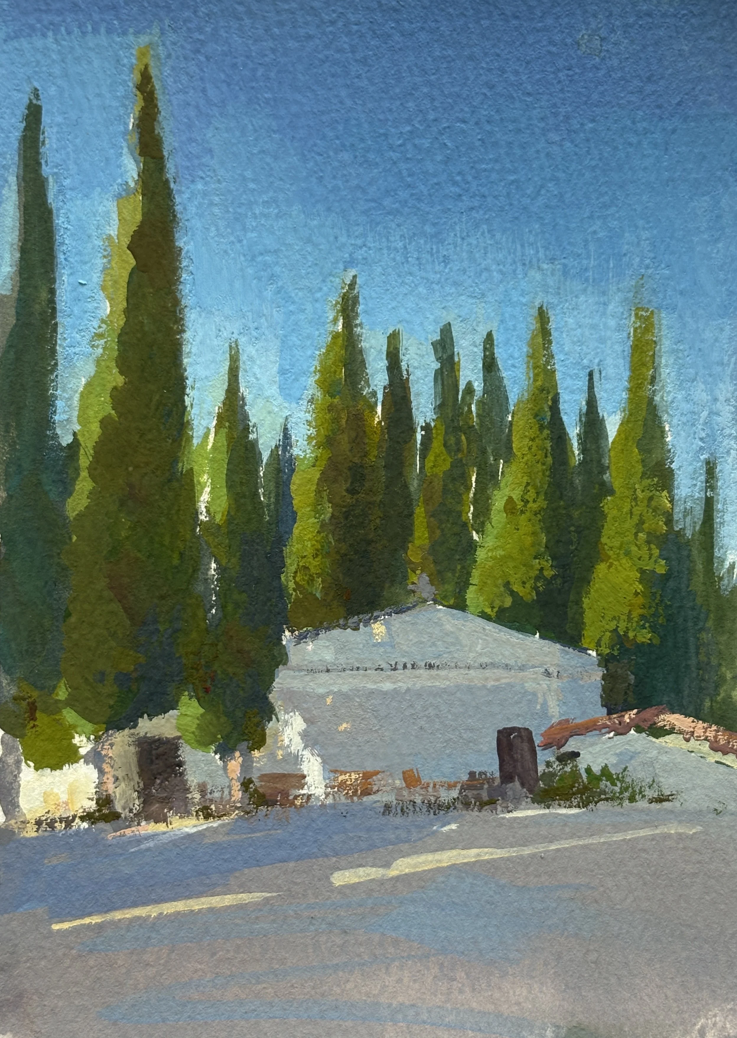 Cypress Grove by the church. Buje, Croatia