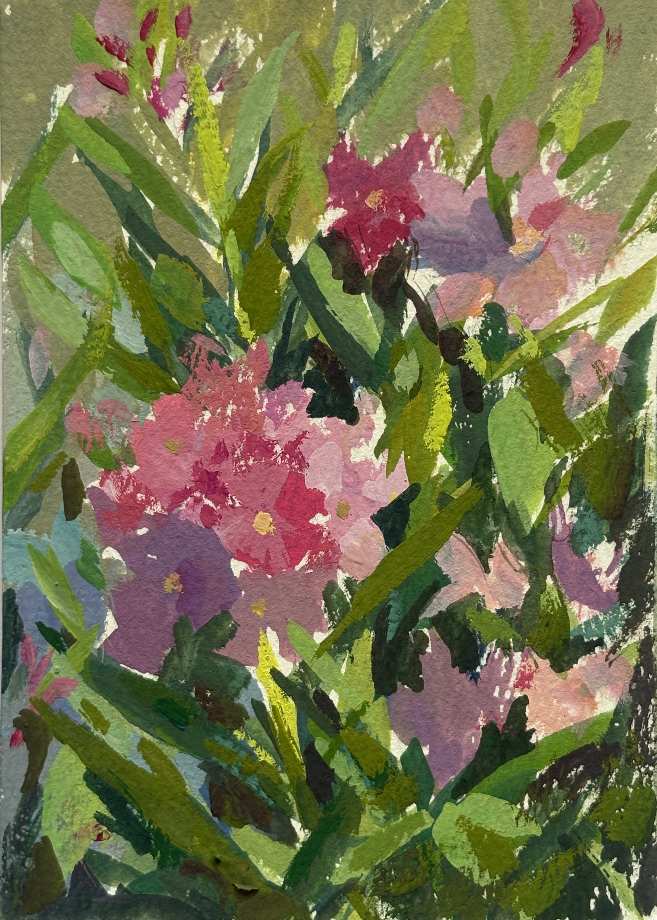 Oleander, Croatia