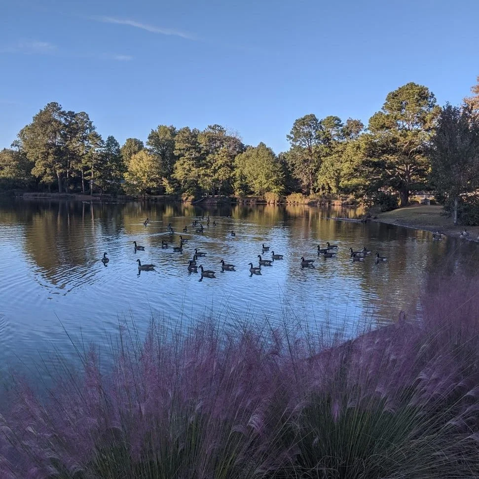 Westgate Park Neighborhood Directory and Website Advertising